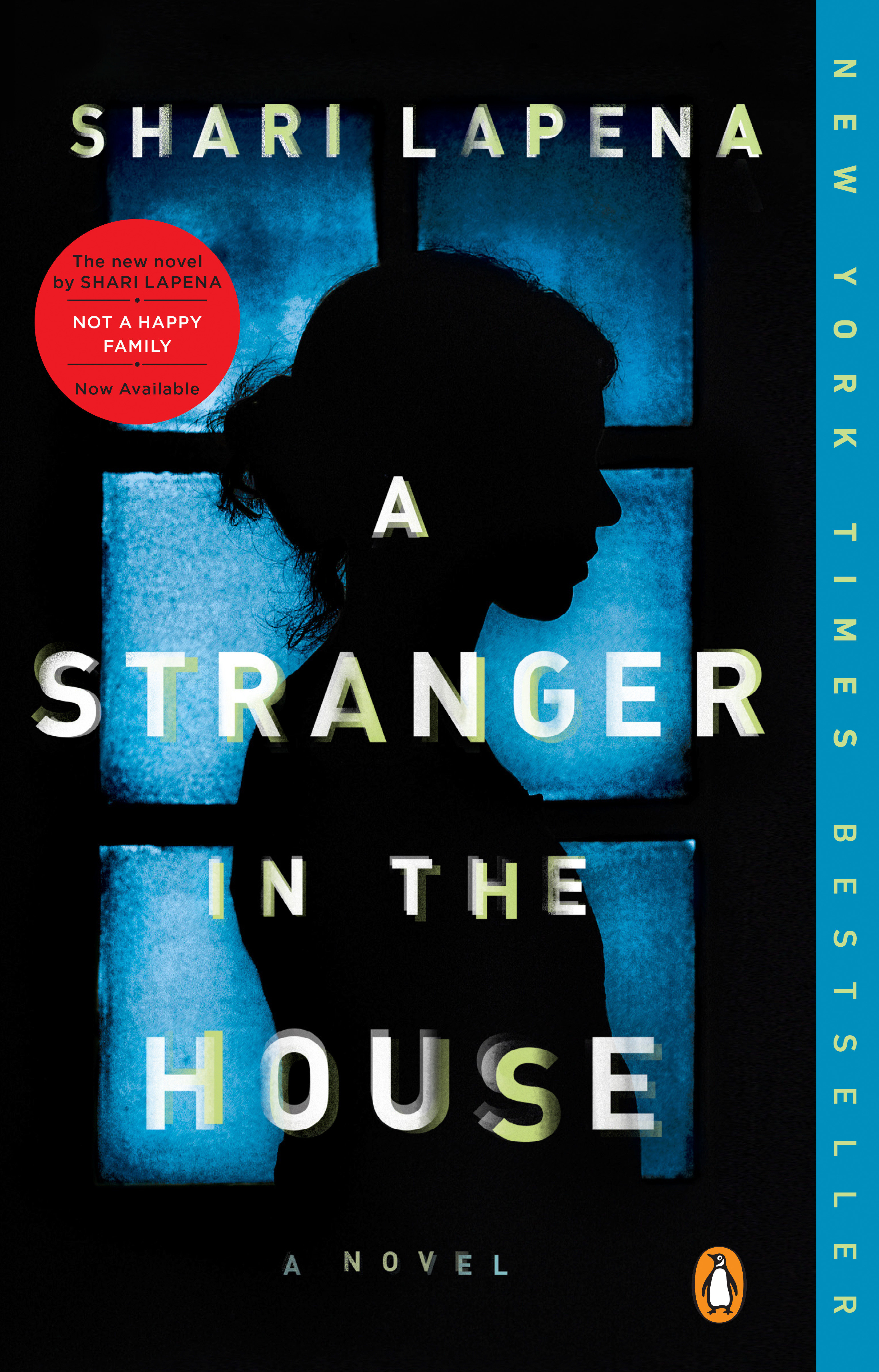 A stranger in the house cover image