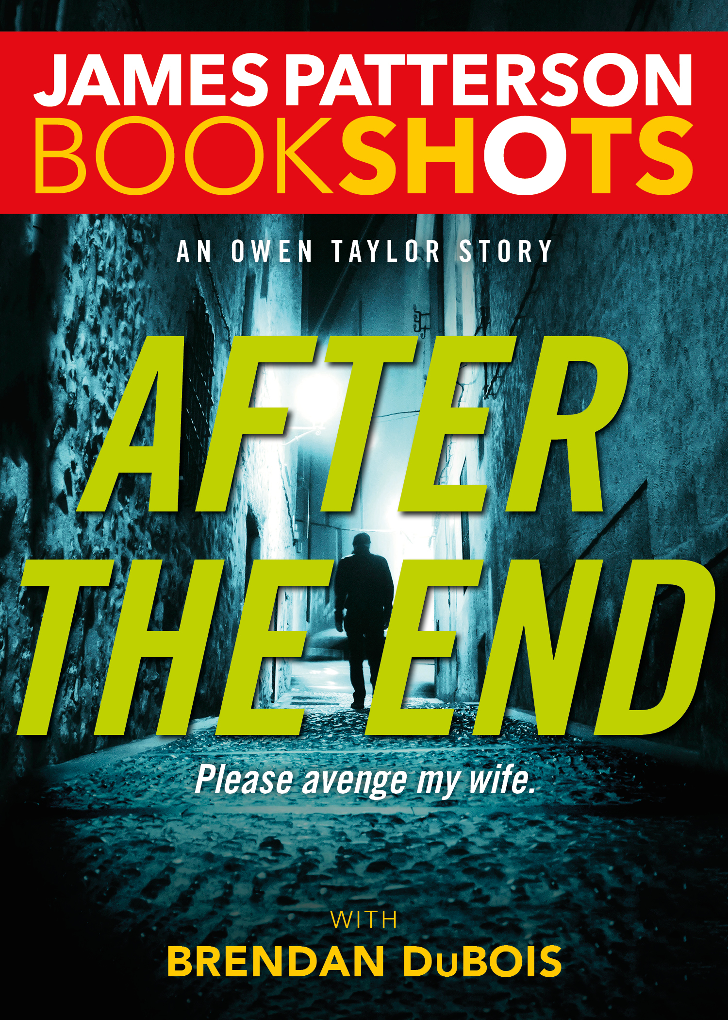 Image de couverture de After the End [electronic resource] : An Owen Taylor Story