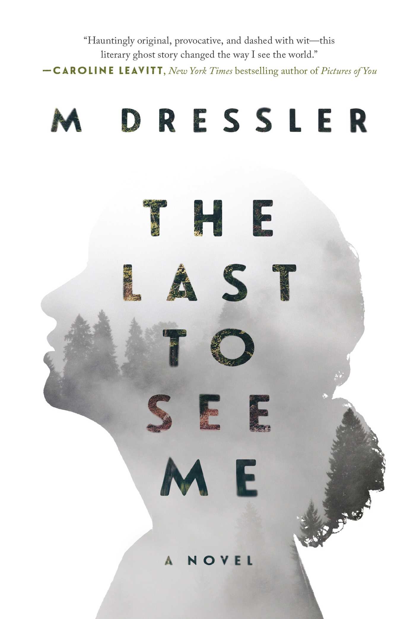 Cover image for The Last to See Me [electronic resource] : The Last Ghost Series, Book One