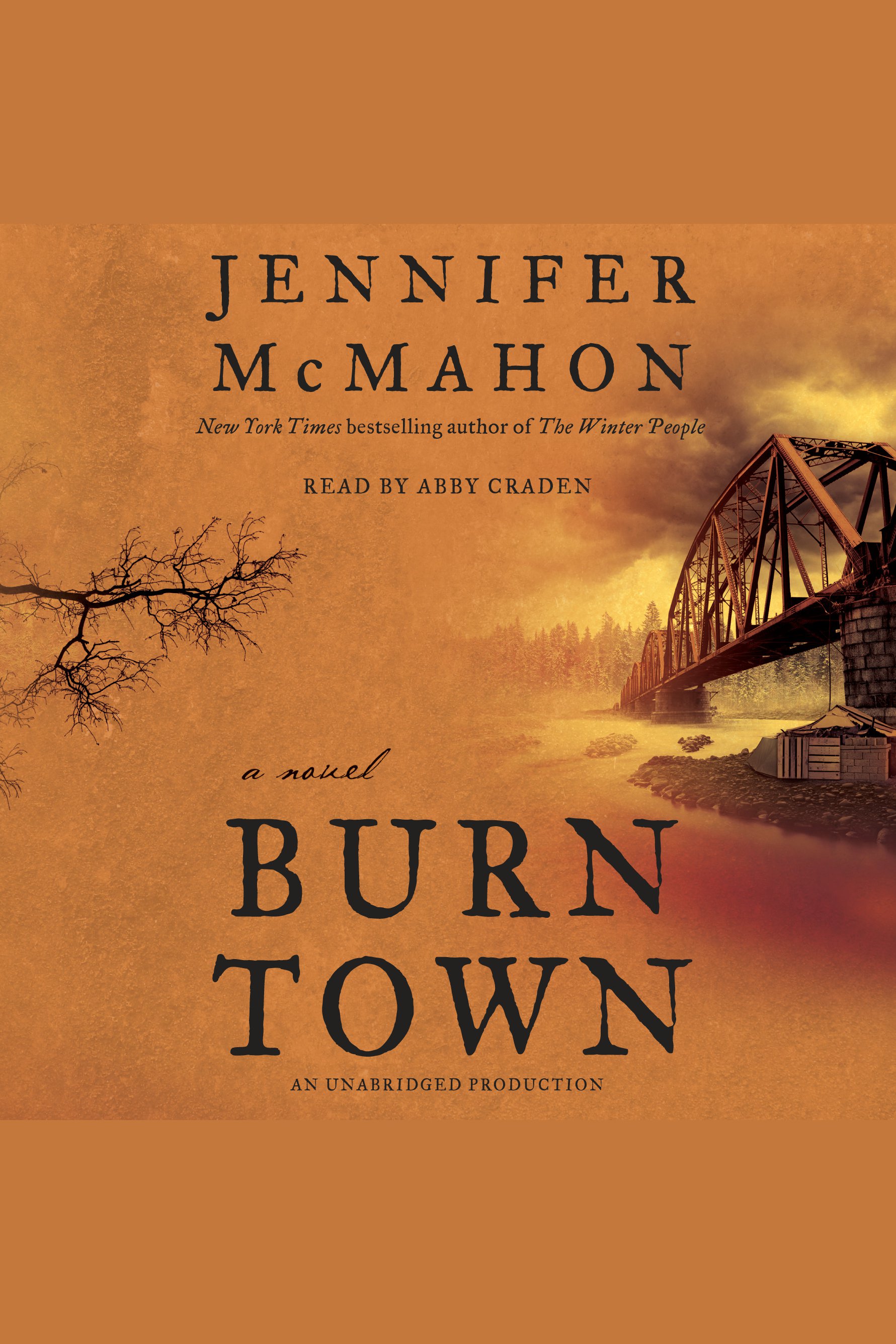 Cover image for Burntown [electronic resource] :