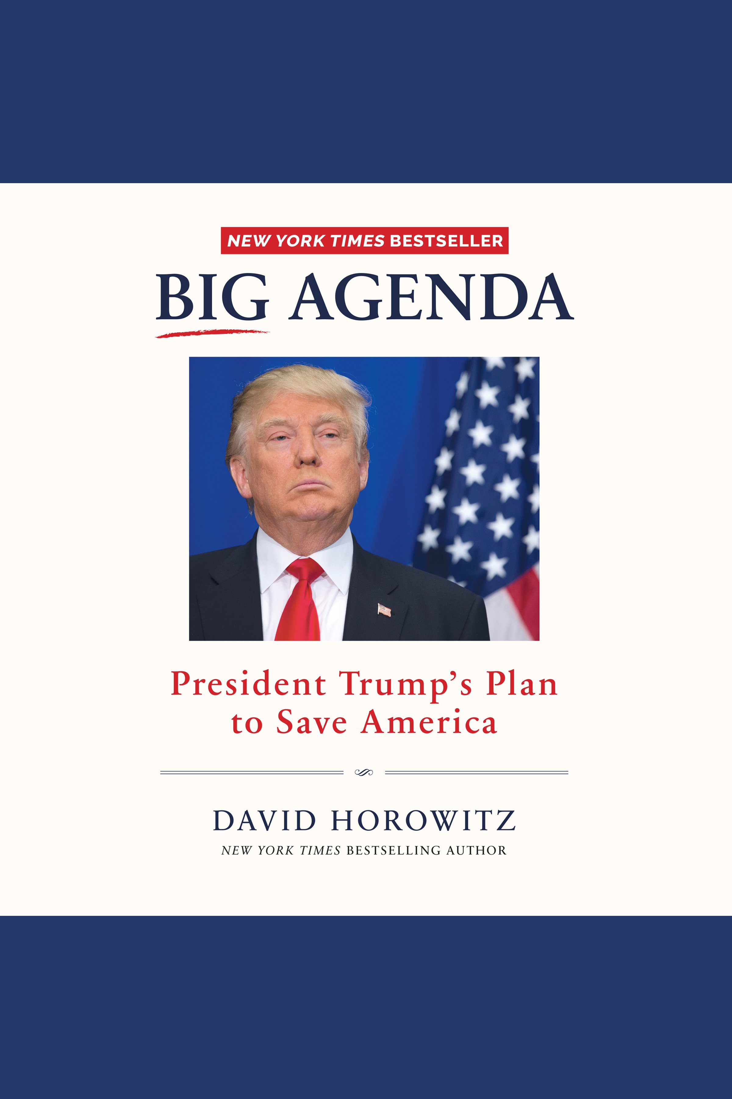 Cover image for Big Agenda [electronic resource] : President Trump's Plan to Save America