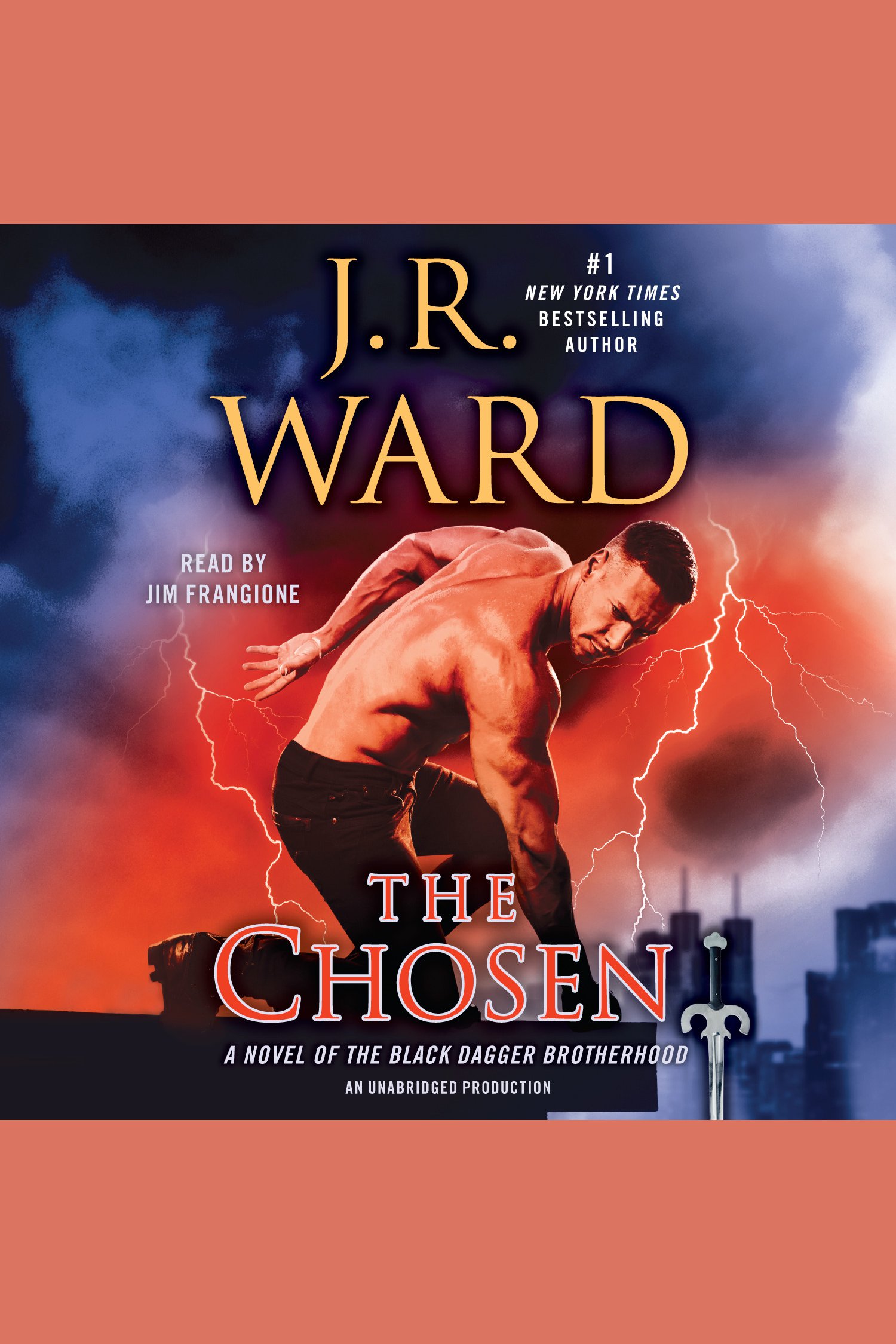 Cover image for The Chosen [electronic resource] :