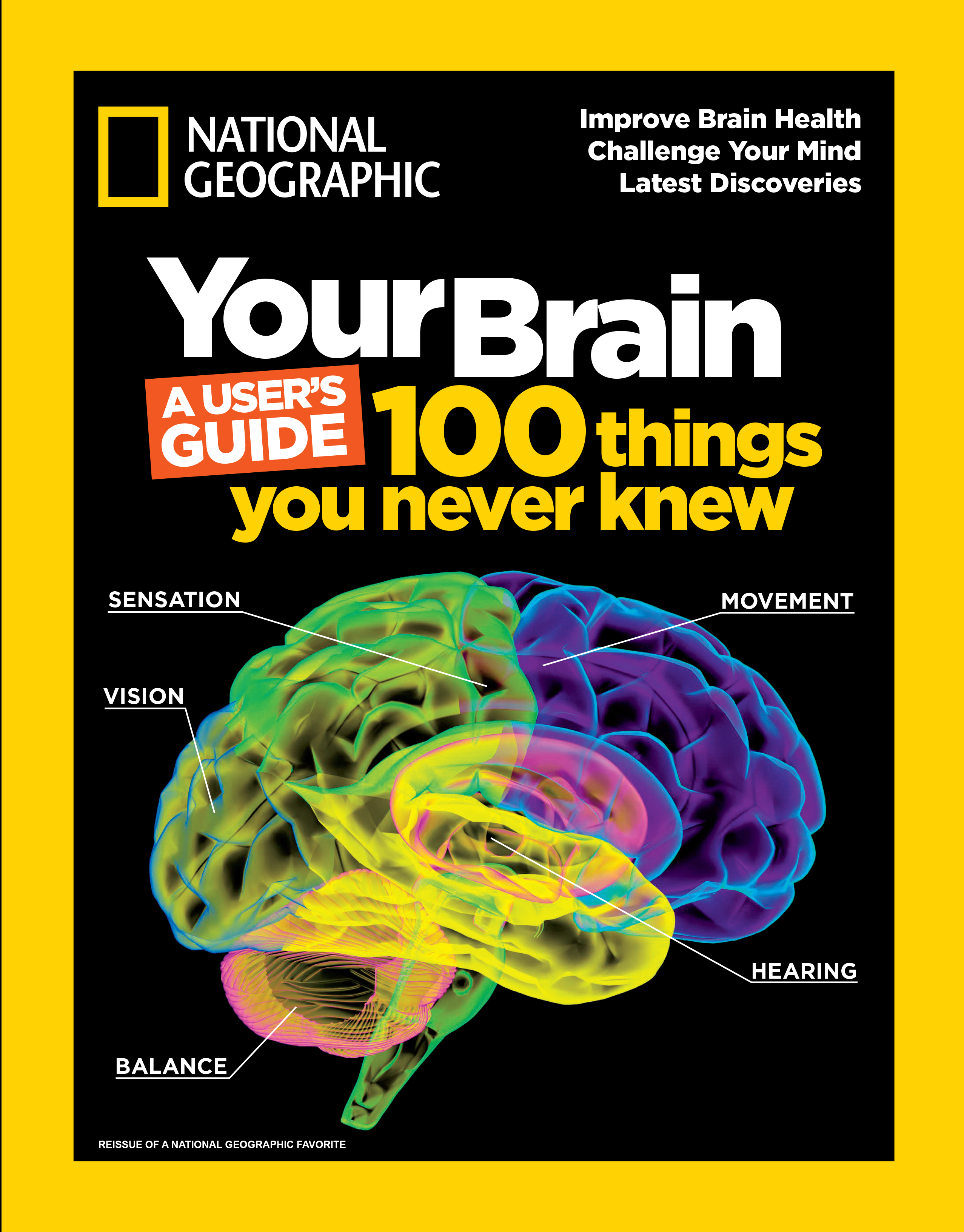 Your brain: A User's Guide cover image