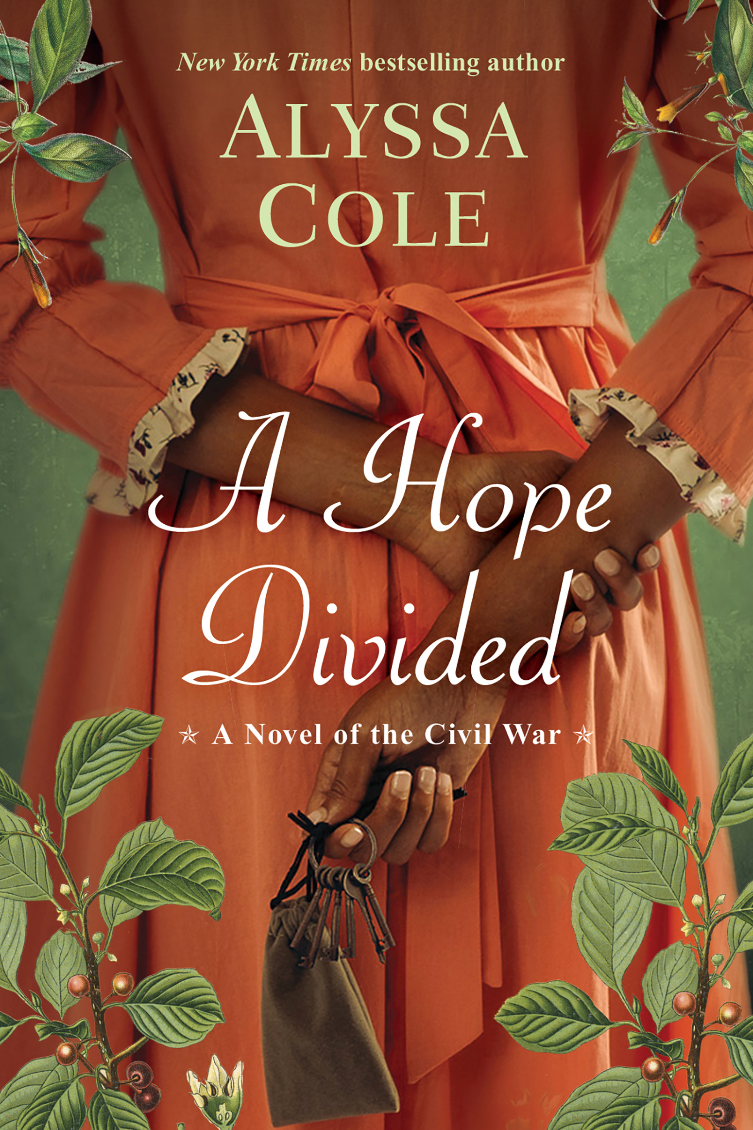 Cover image for A Hope Divided [electronic resource] :