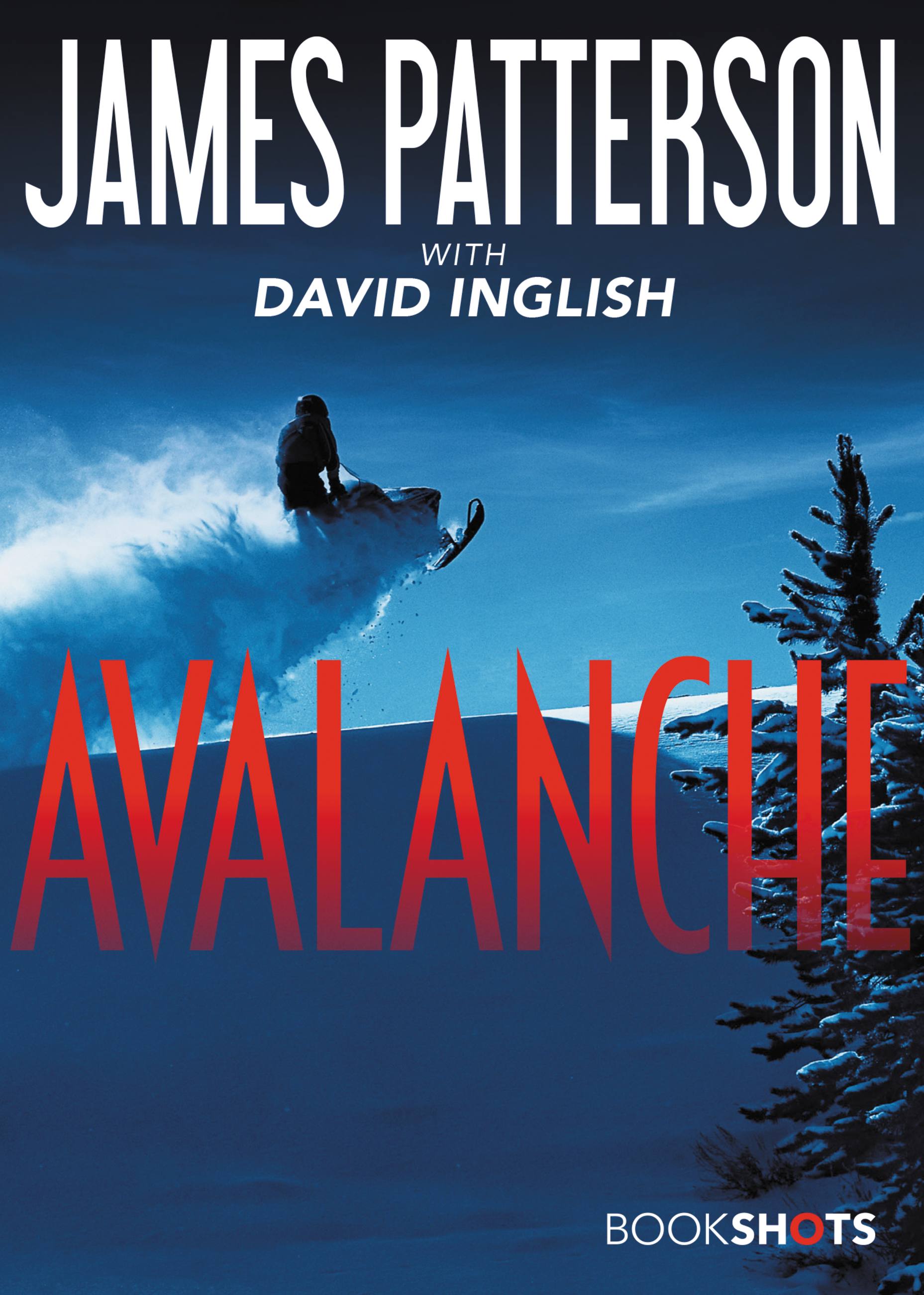 Cover image for Avalanche [electronic resource] :