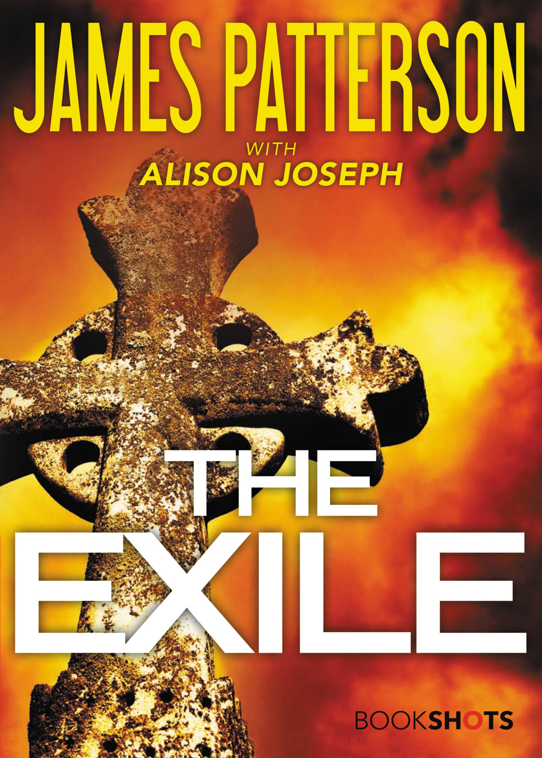 Cover image for The Exile [electronic resource] :