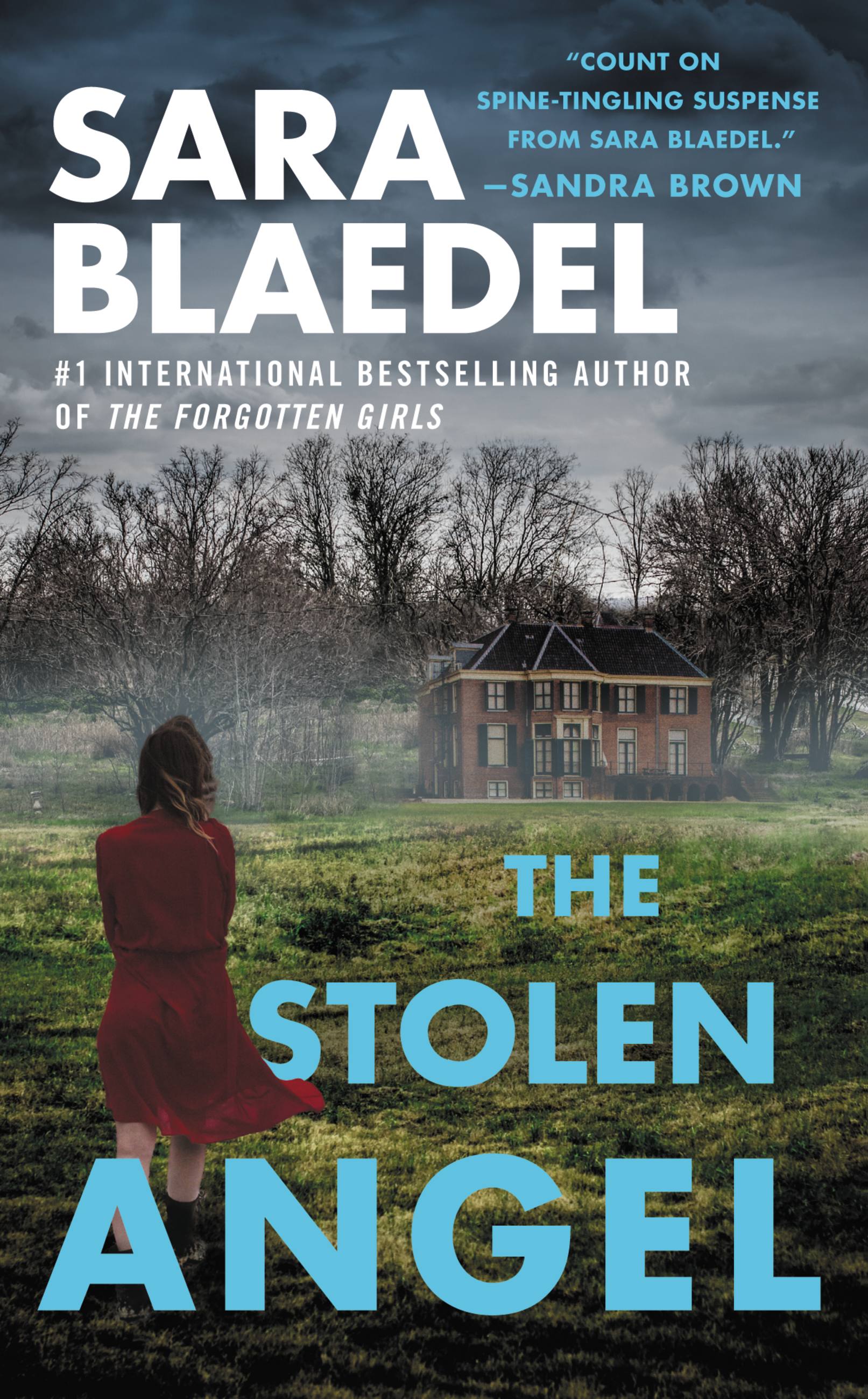 Cover image for The Stolen Angel [electronic resource] :