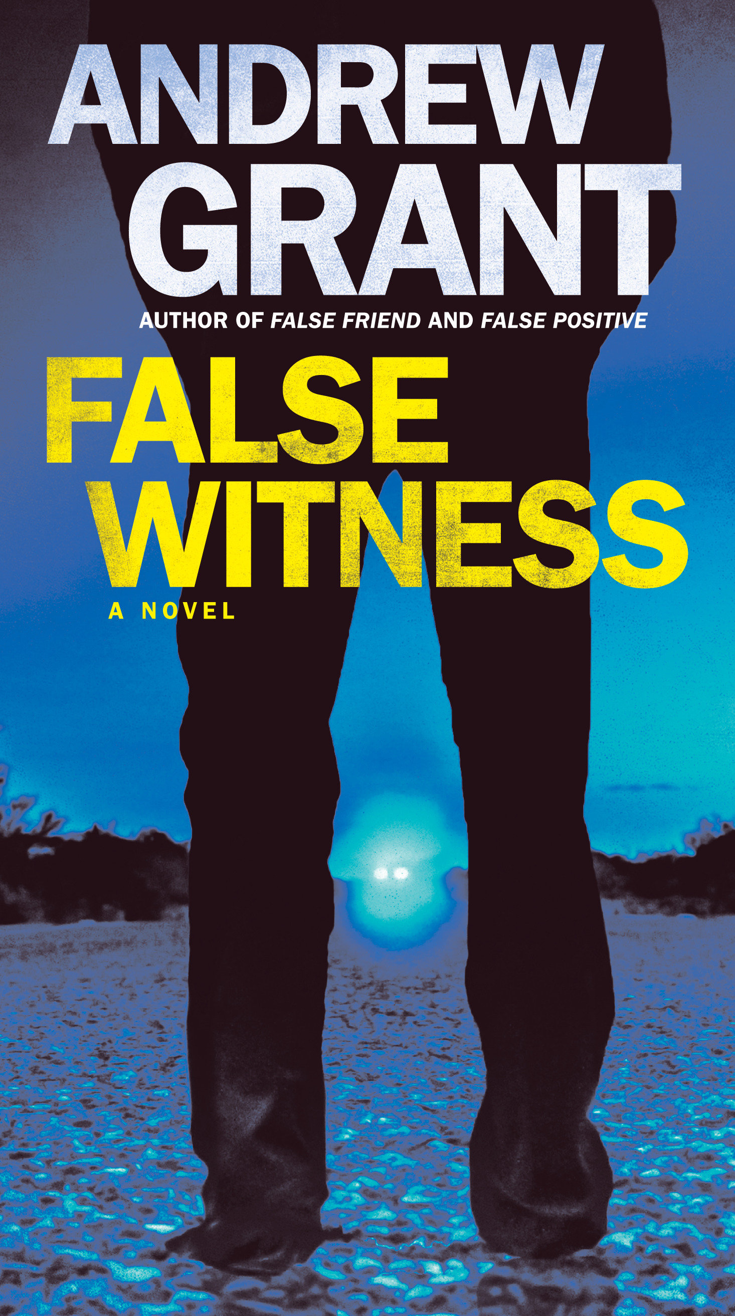 Cover image for False Witness [electronic resource] : A Novel