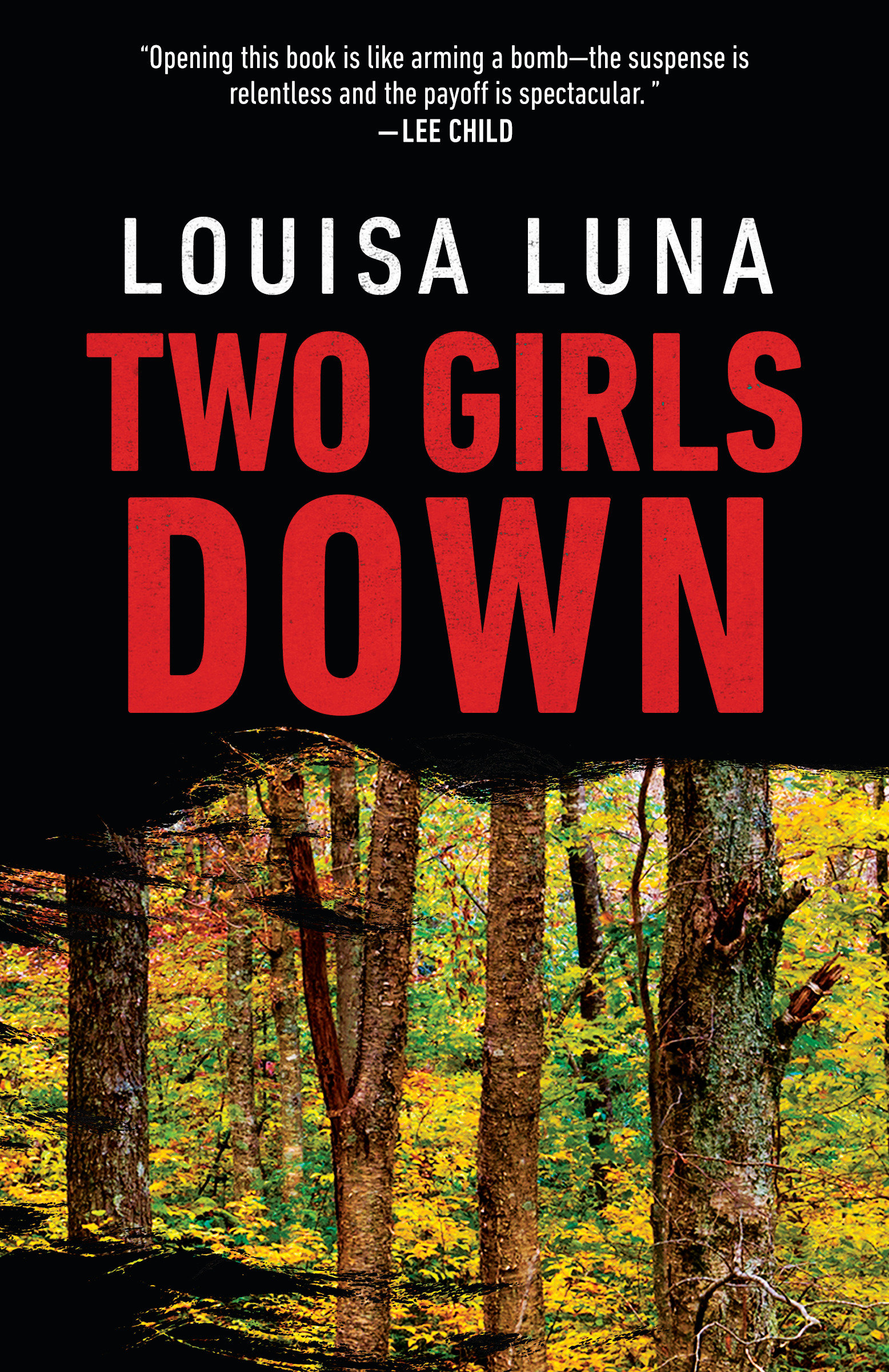 Image de couverture de Two Girls Down [electronic resource] : A Novel