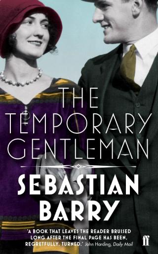 The temporary gentleman : a novel