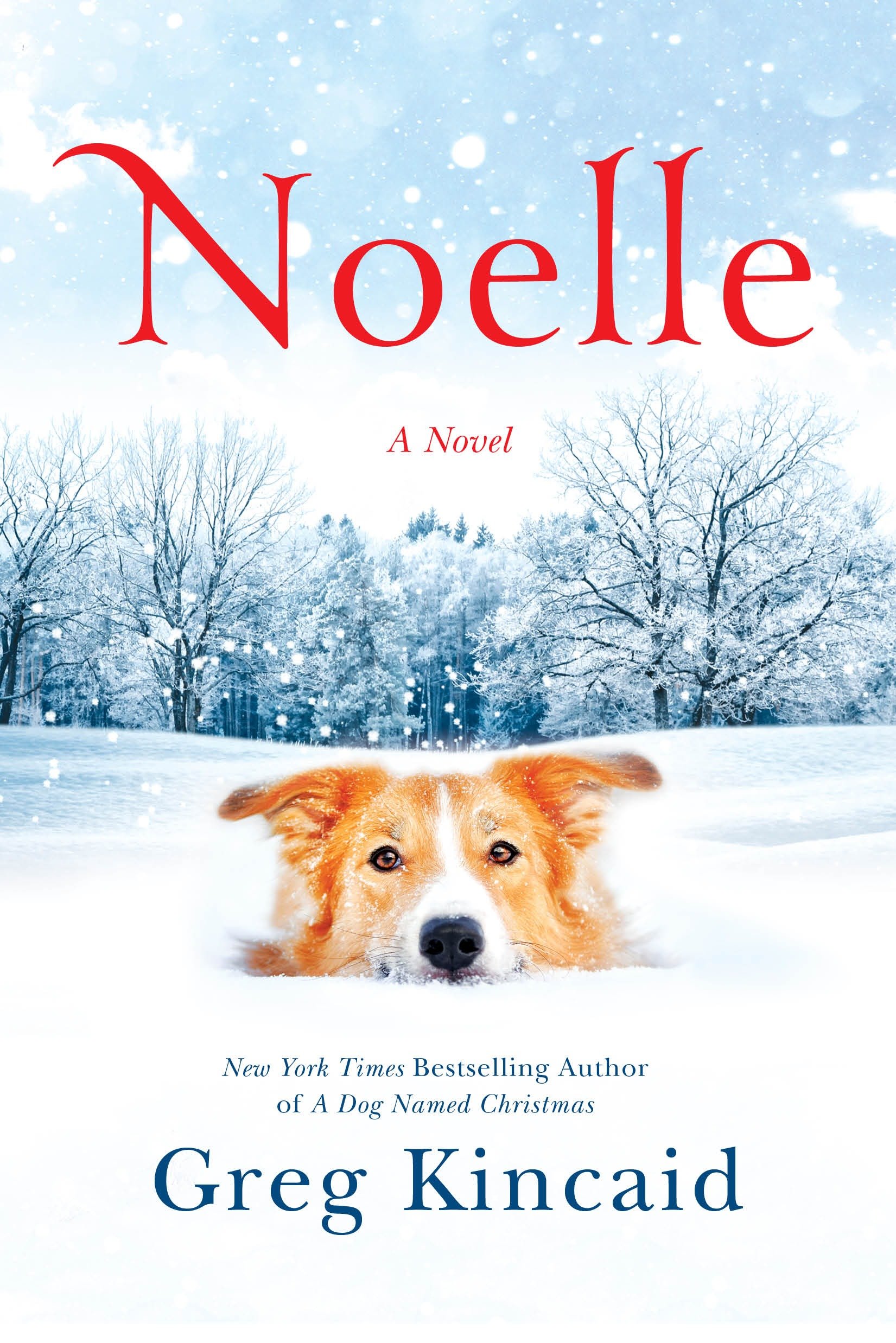 Imagen de portada para Noelle [electronic resource] : A Novel