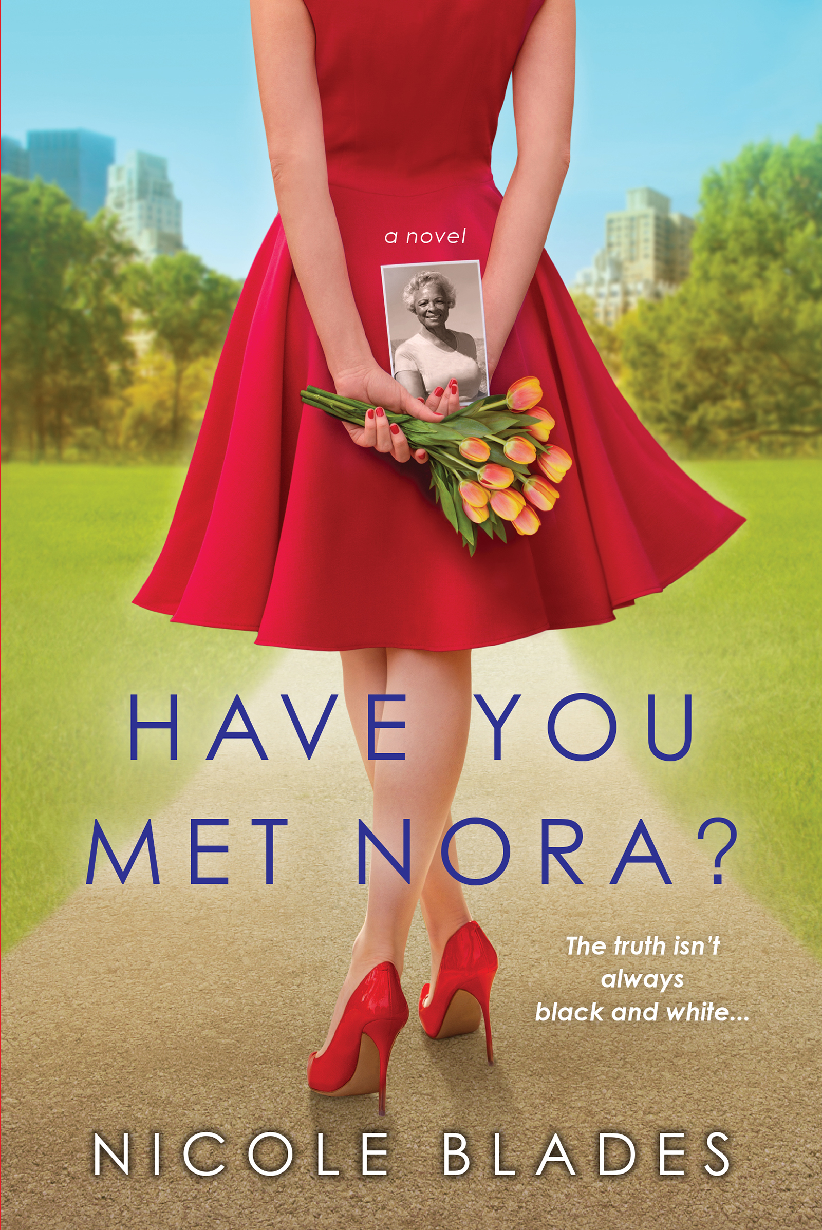 Cover image for Have You Met Nora? [electronic resource] :