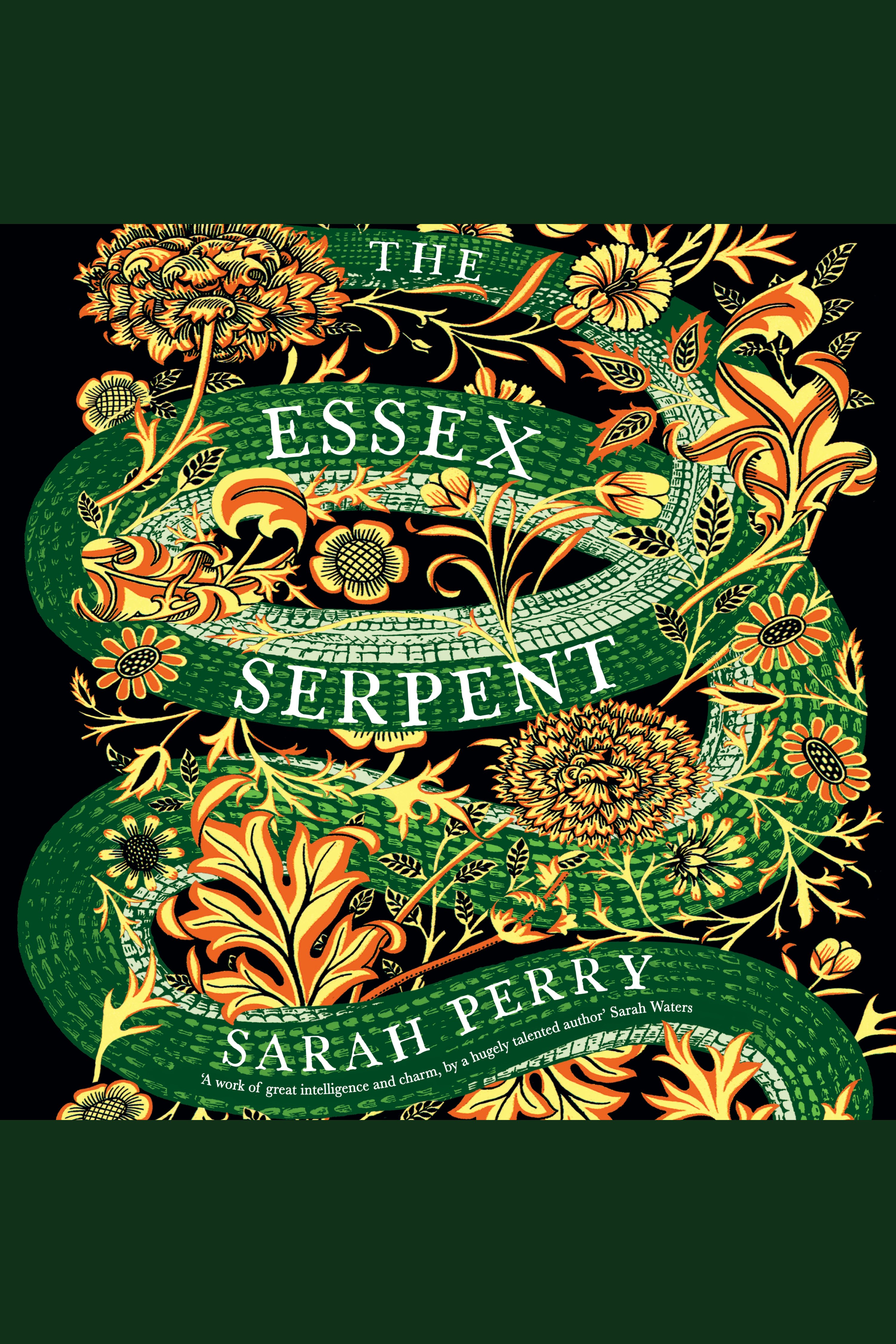 Image de couverture de The Essex Serpent [electronic resource] :