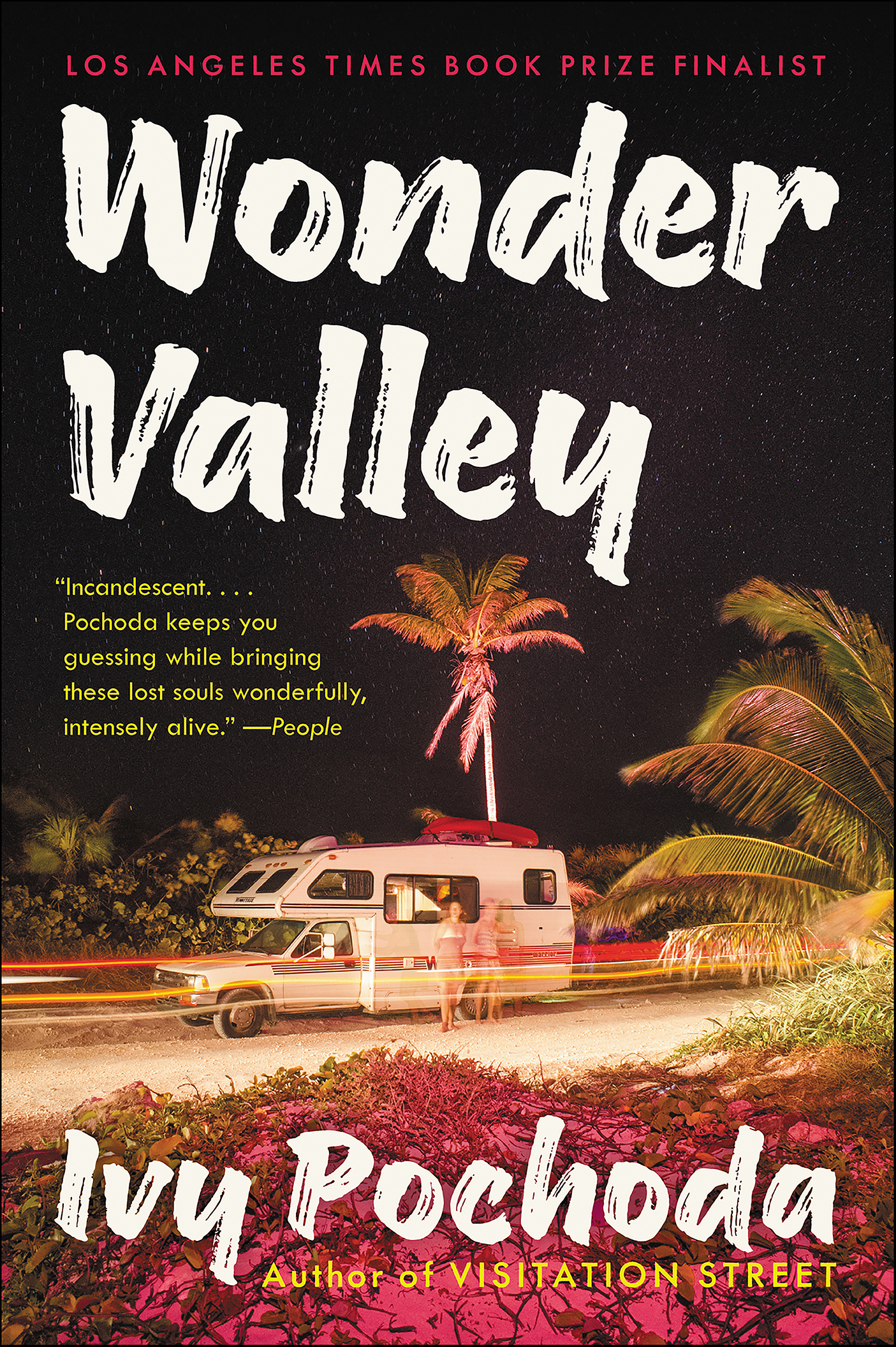 Cover image for Wonder Valley [electronic resource] : A Novel
