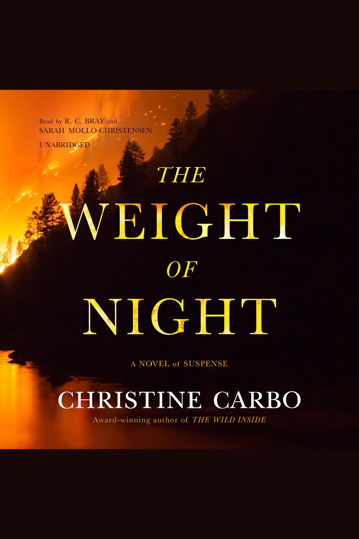 Cover image for The Weight of Night [electronic resource] :