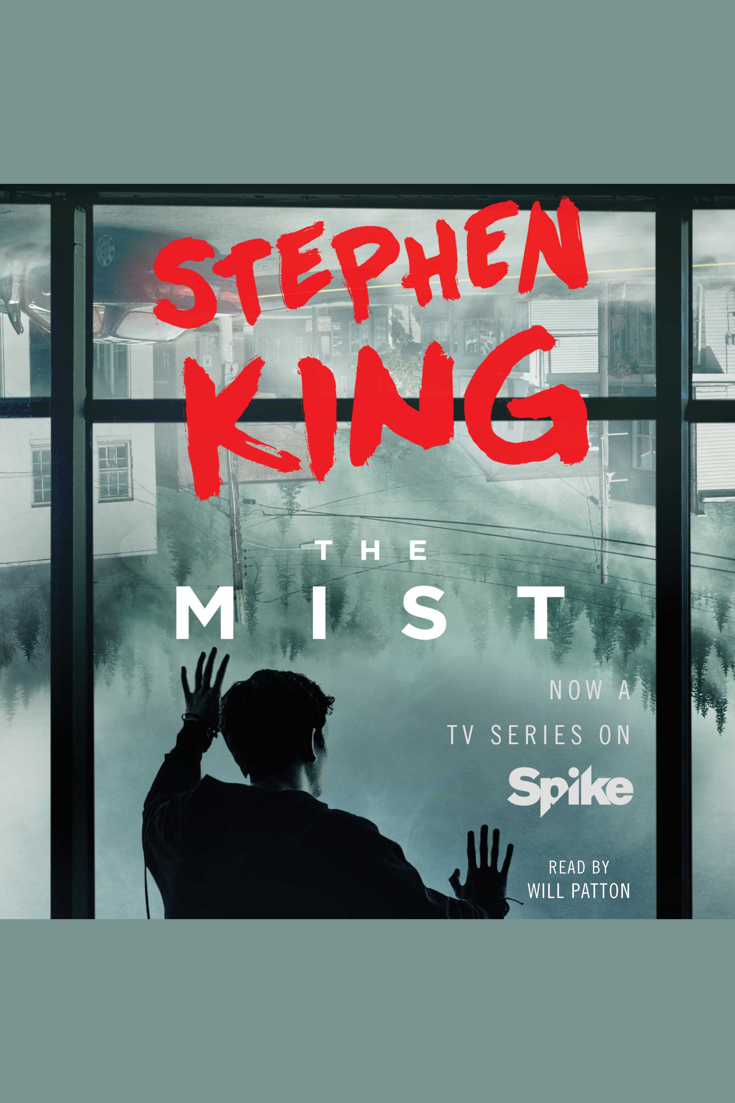 Cover image for The Mist [electronic resource] :