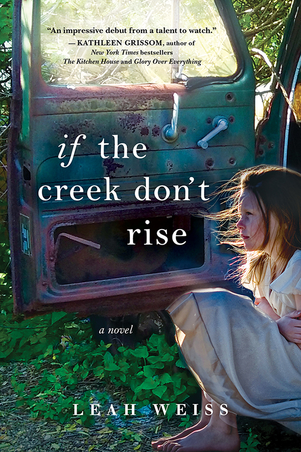 Cover image for If the Creek Don't Rise [electronic resource] : A Novel