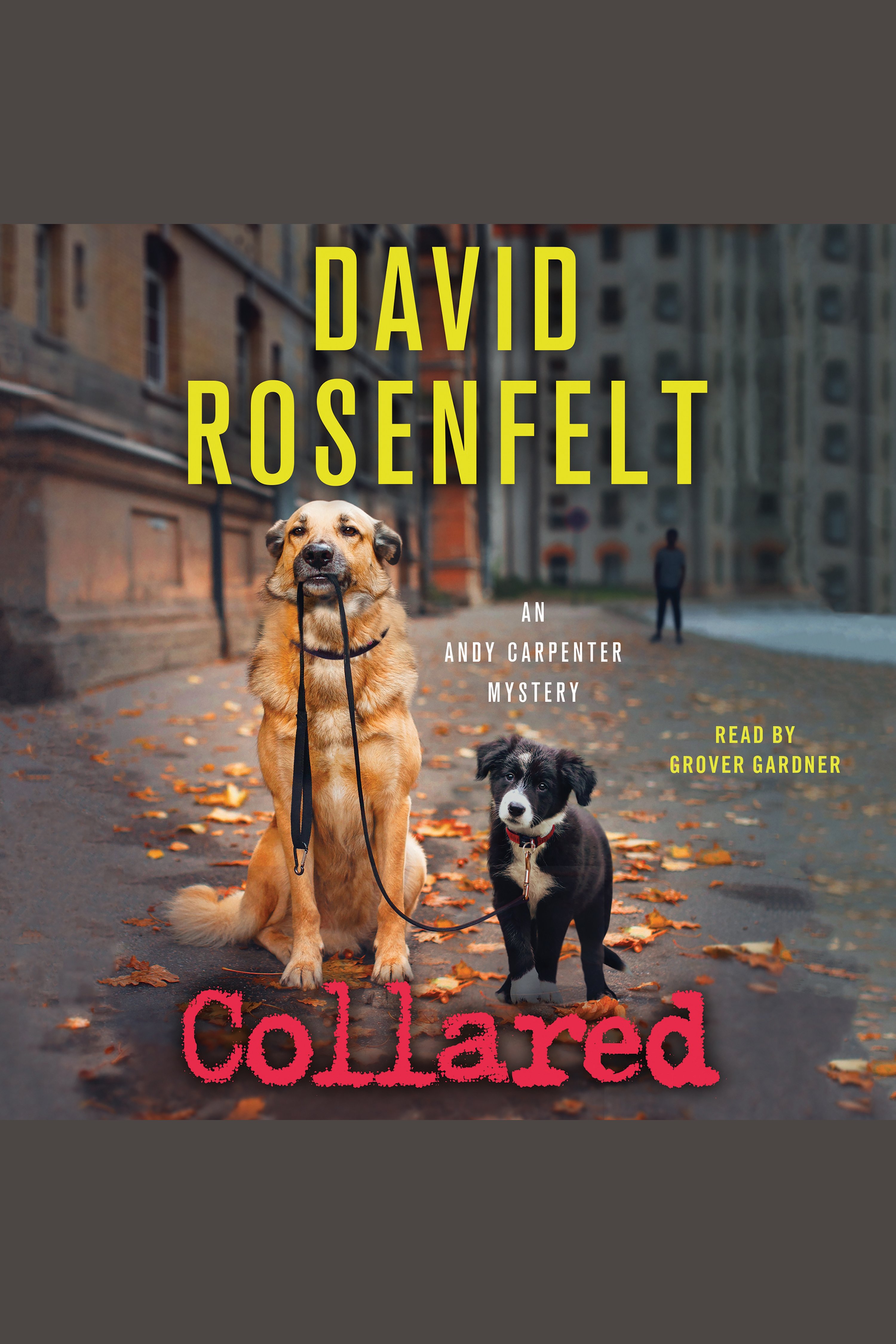 Cover image for Collared [electronic resource] : An Andy Carpenter Mystery