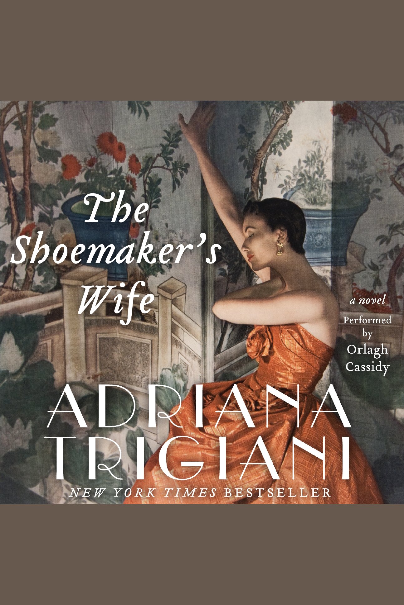 Cover image for Shoemaker's Wife, The [electronic resource] : A Novel