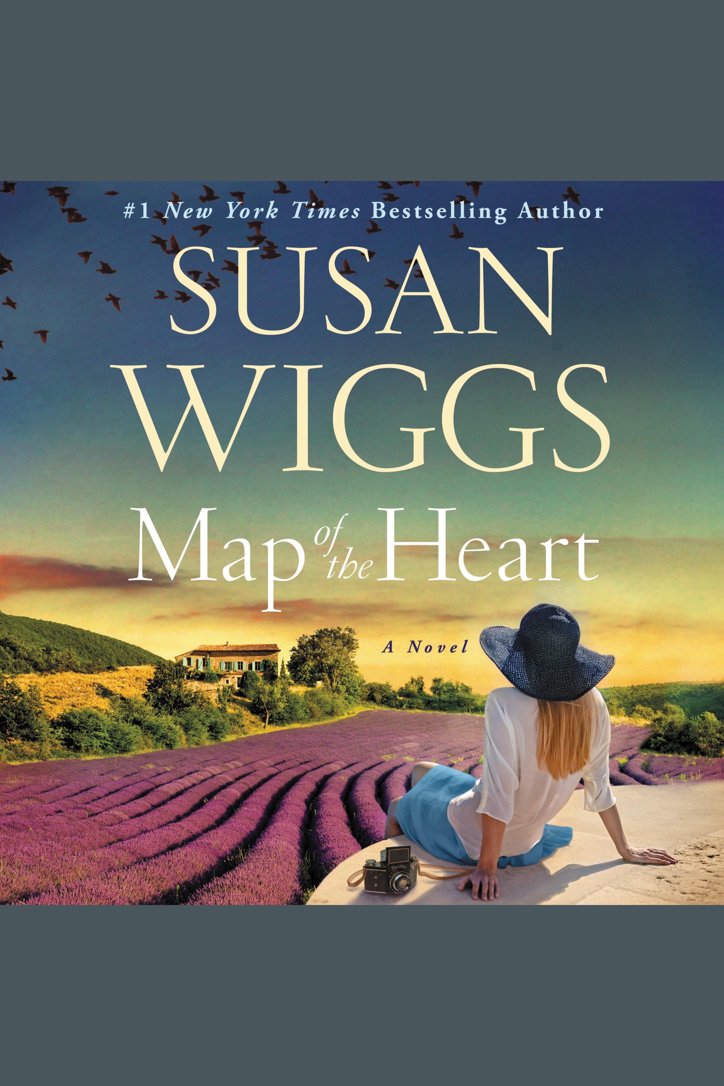 Cover image for Map of the Heart [electronic resource] : A Novel