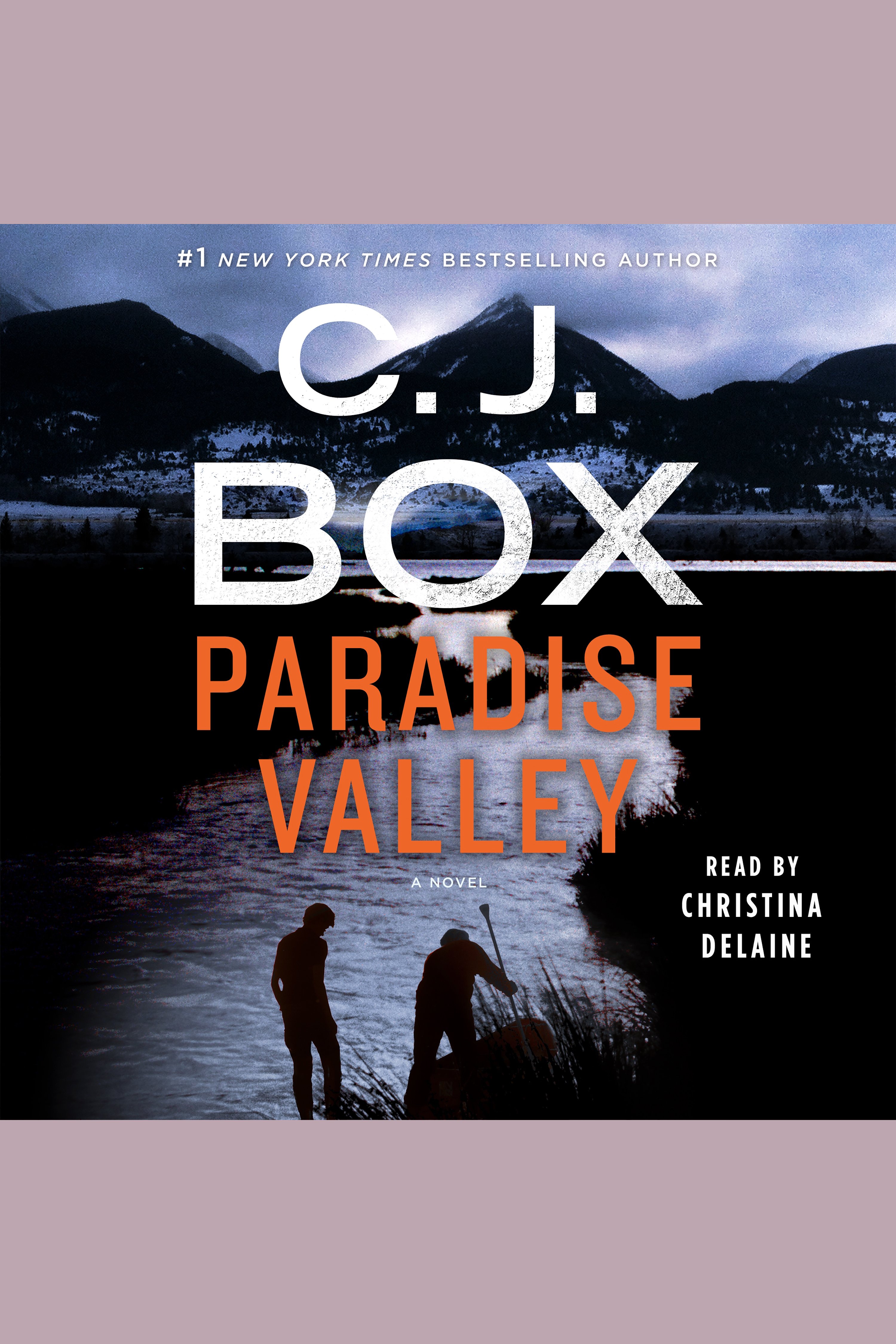 Cover image for Paradise Valley [electronic resource] : A Novel
