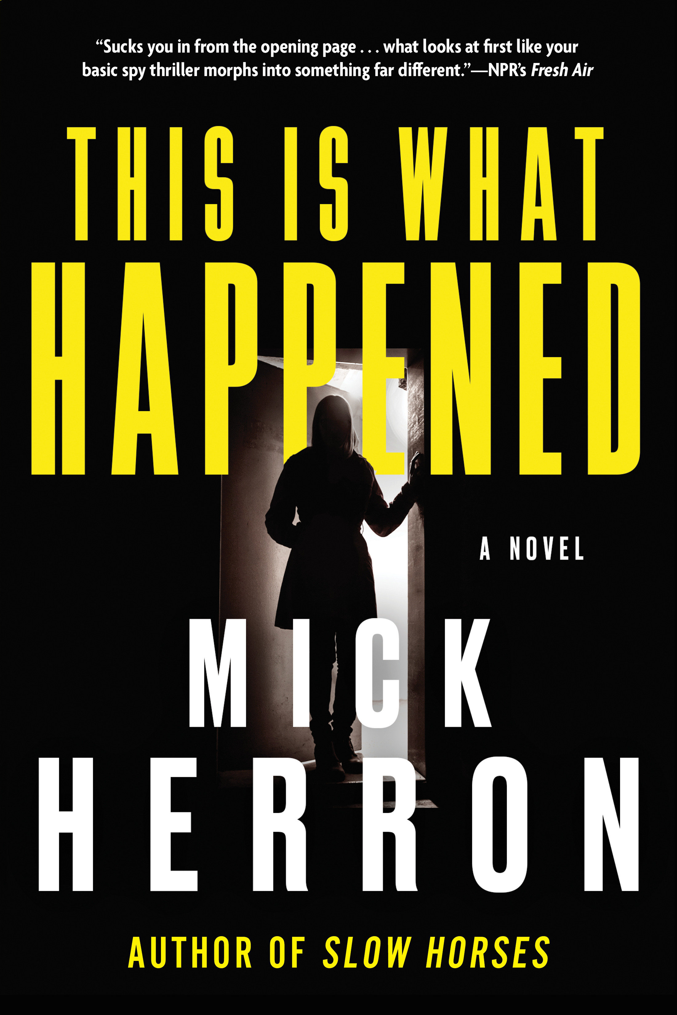 Cover image for This Is What Happened [electronic resource] :
