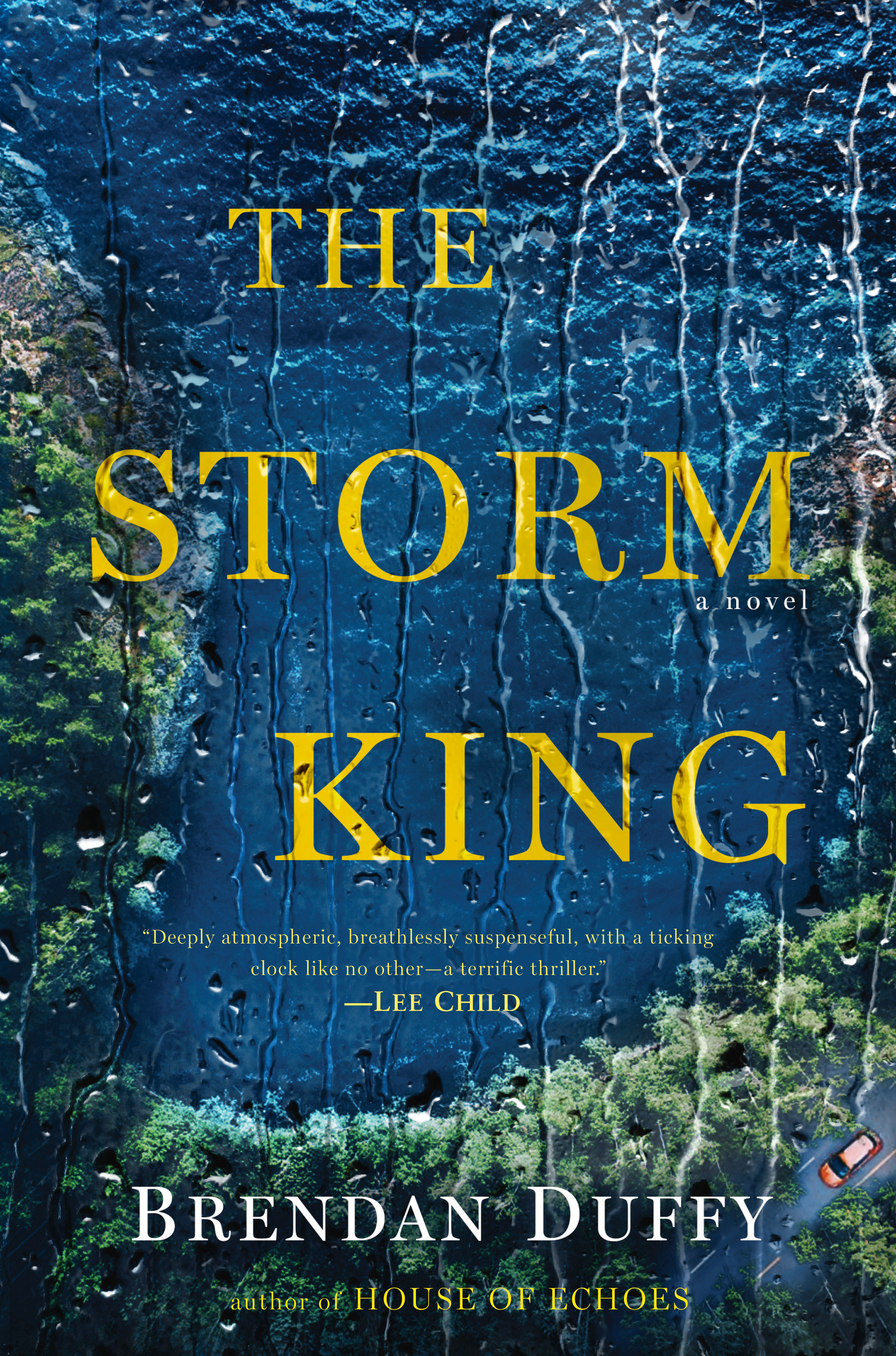 Image de couverture de The Storm King [electronic resource] : A Novel