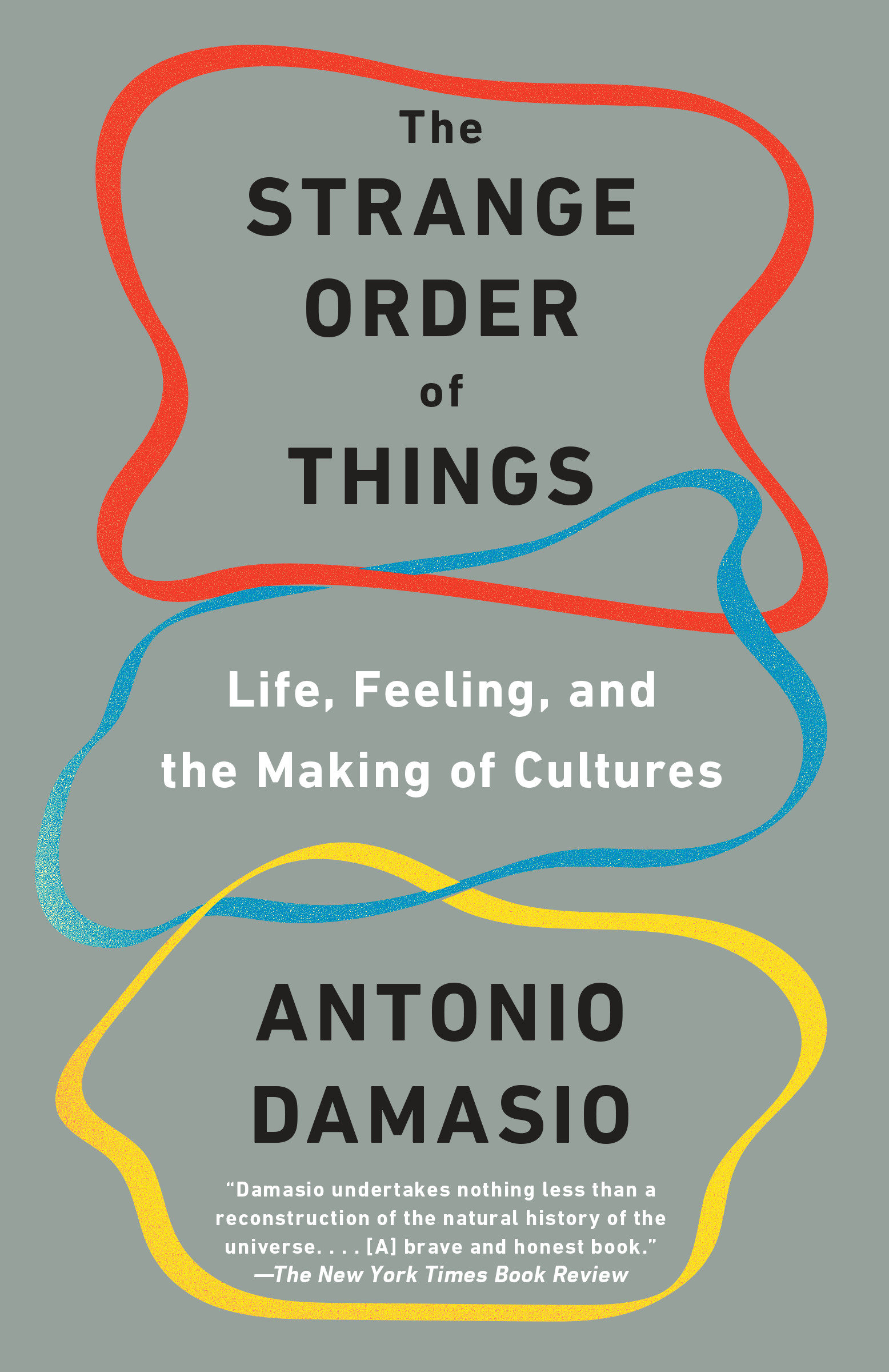 Cover image for The Strange Order of Things [electronic resource] : Life, Feeling, and the Making of Cultures