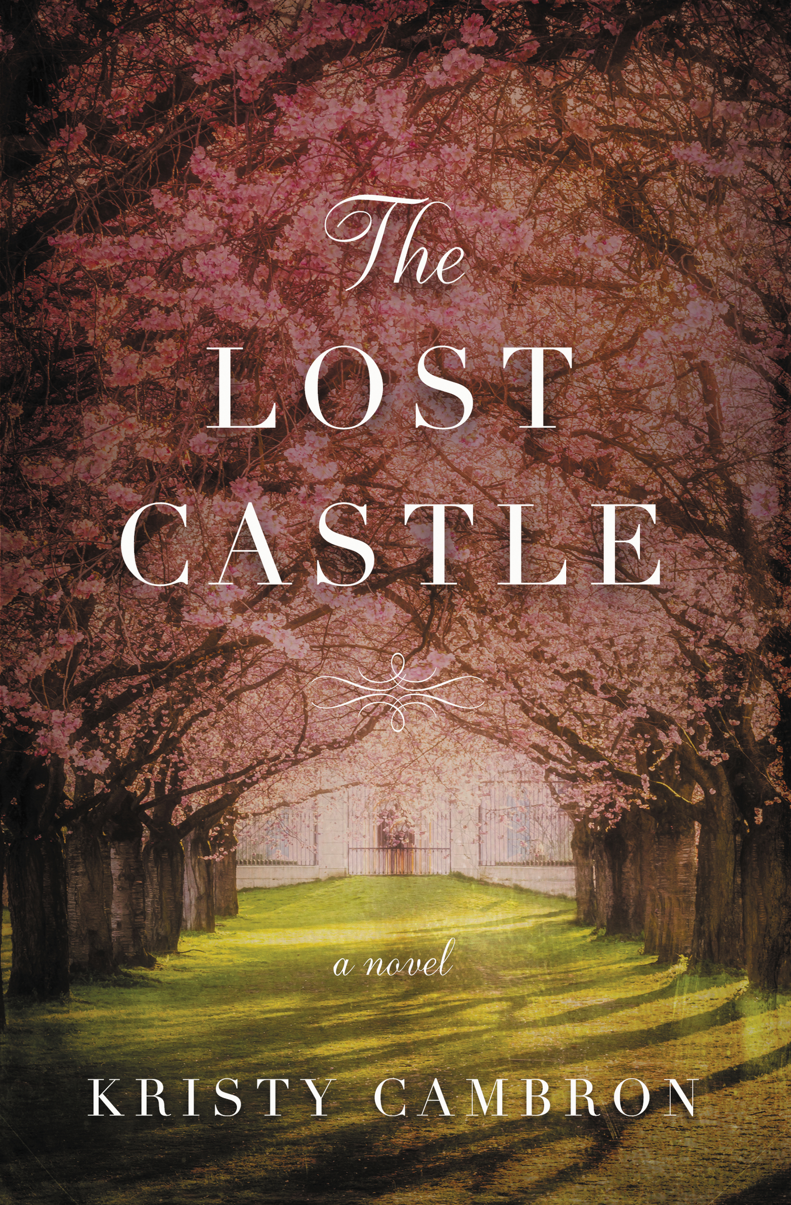The Lost Castle A Split-Time Romance cover image