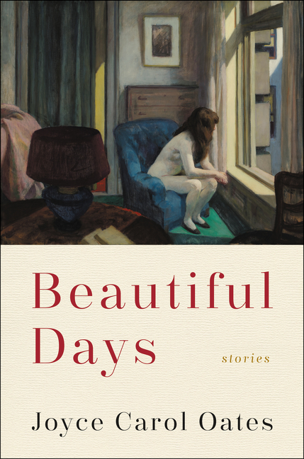 Umschlagbild für Beautiful Days [electronic resource] : Stories