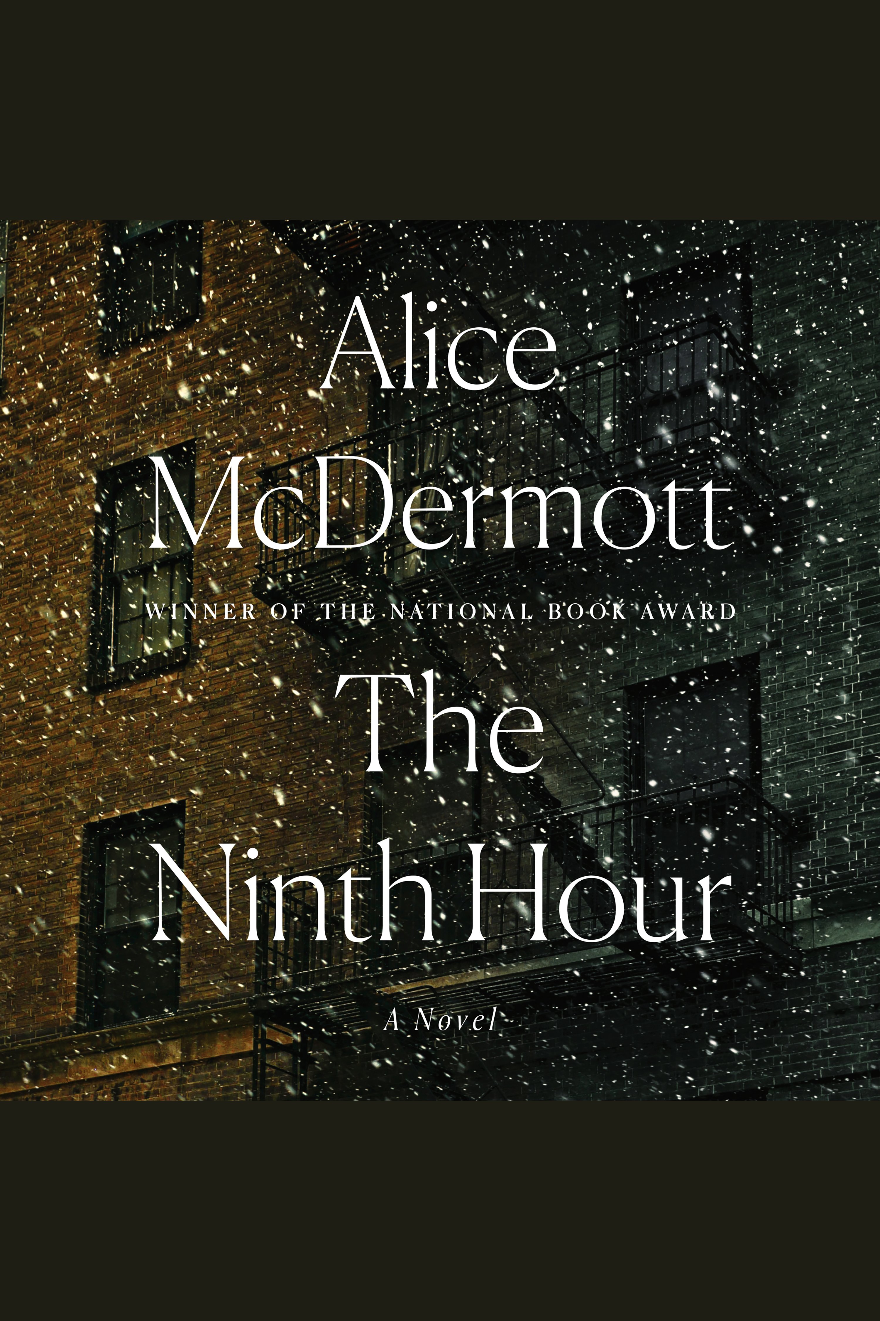 Cover image for The Ninth Hour [electronic resource] :