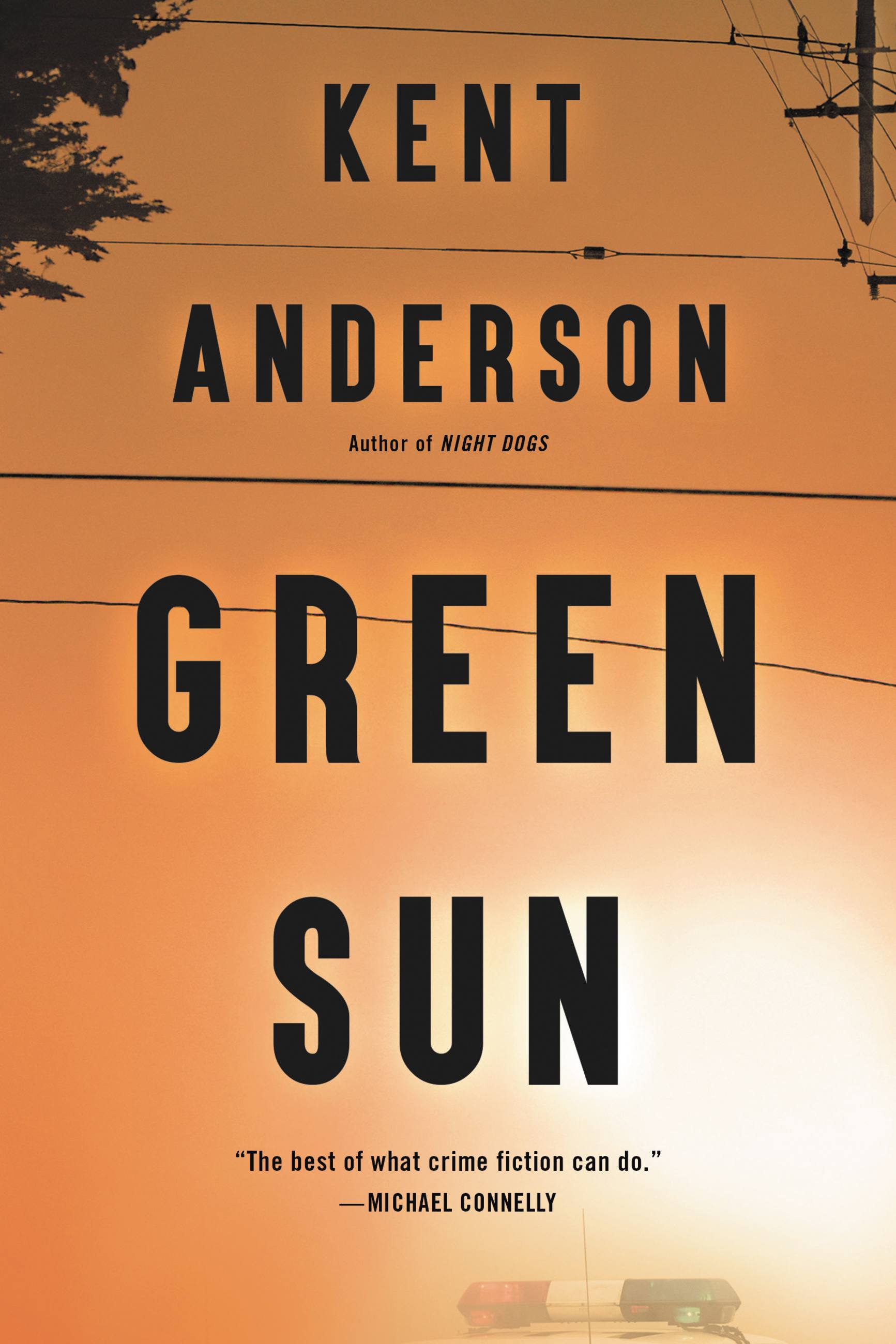 Image de couverture de Green Sun [electronic resource] :