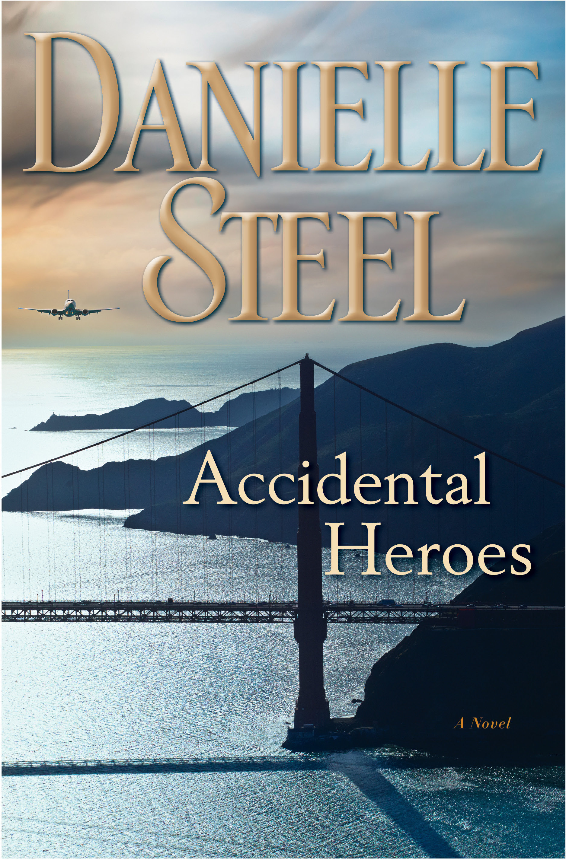 Umschlagbild für Accidental Heroes [electronic resource] : A Novel