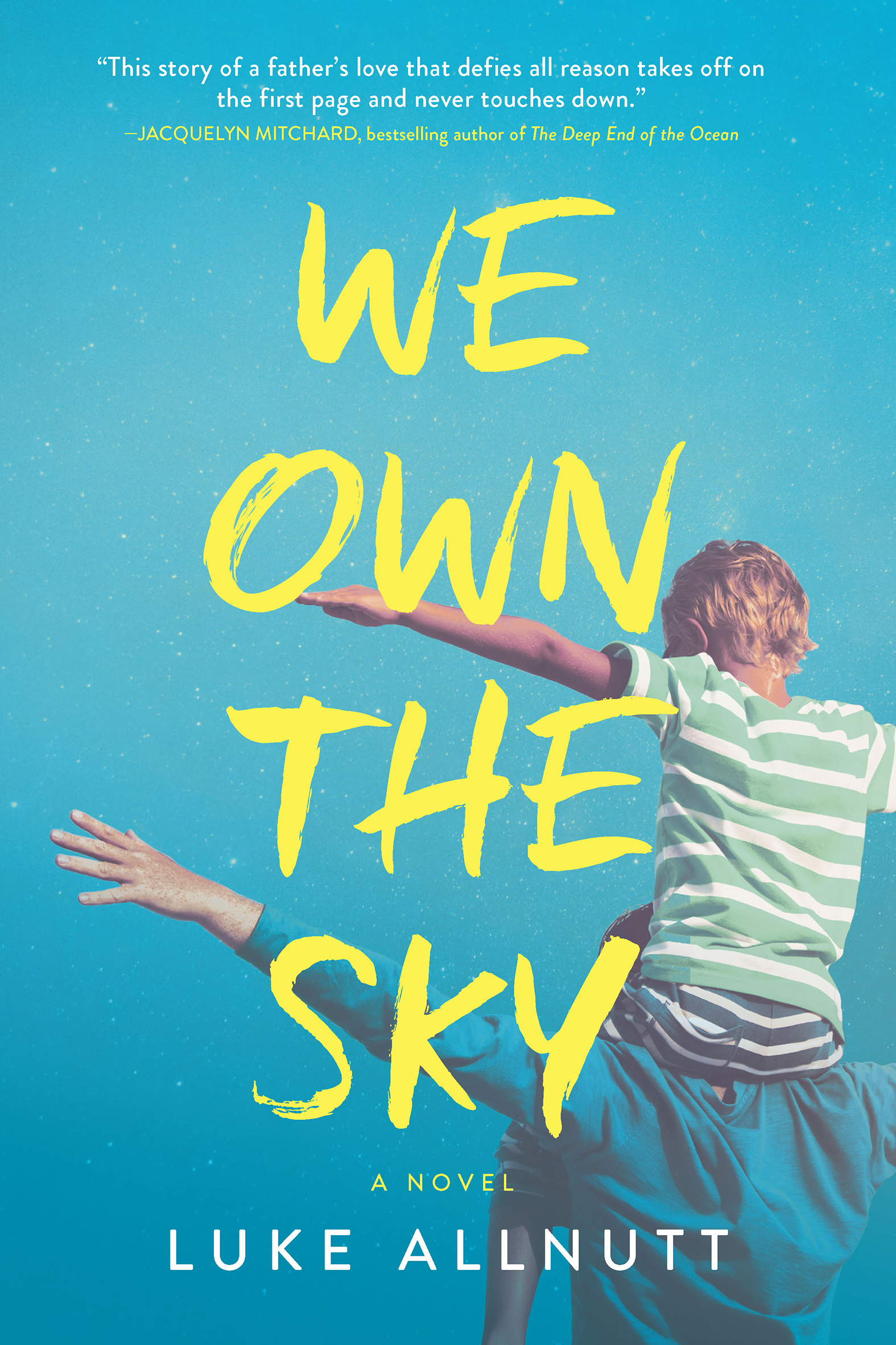 Image de couverture de We Own the Sky [electronic resource] : A Novel