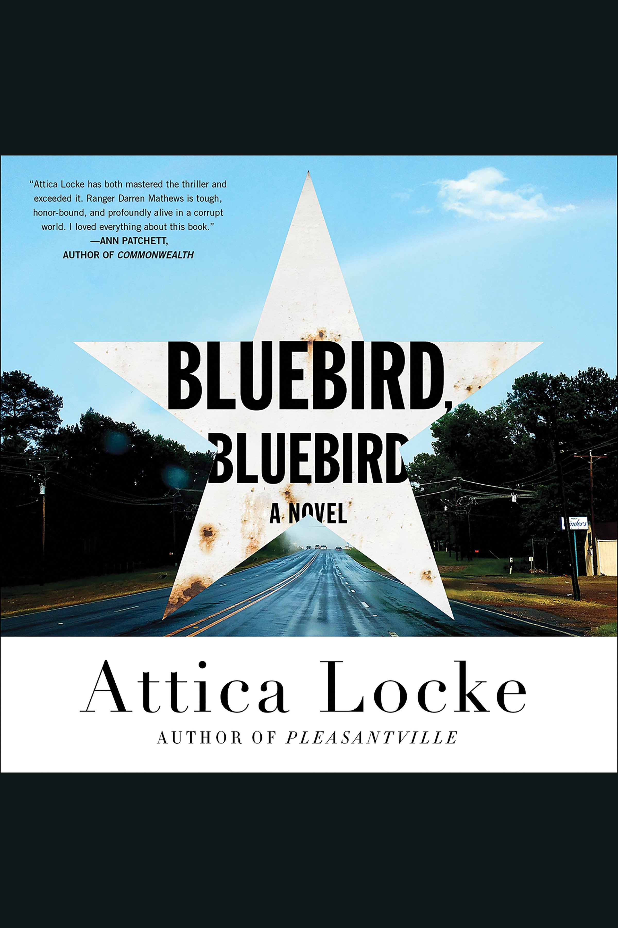 Umschlagbild für Bluebird, Bluebird [electronic resource] : A Novel