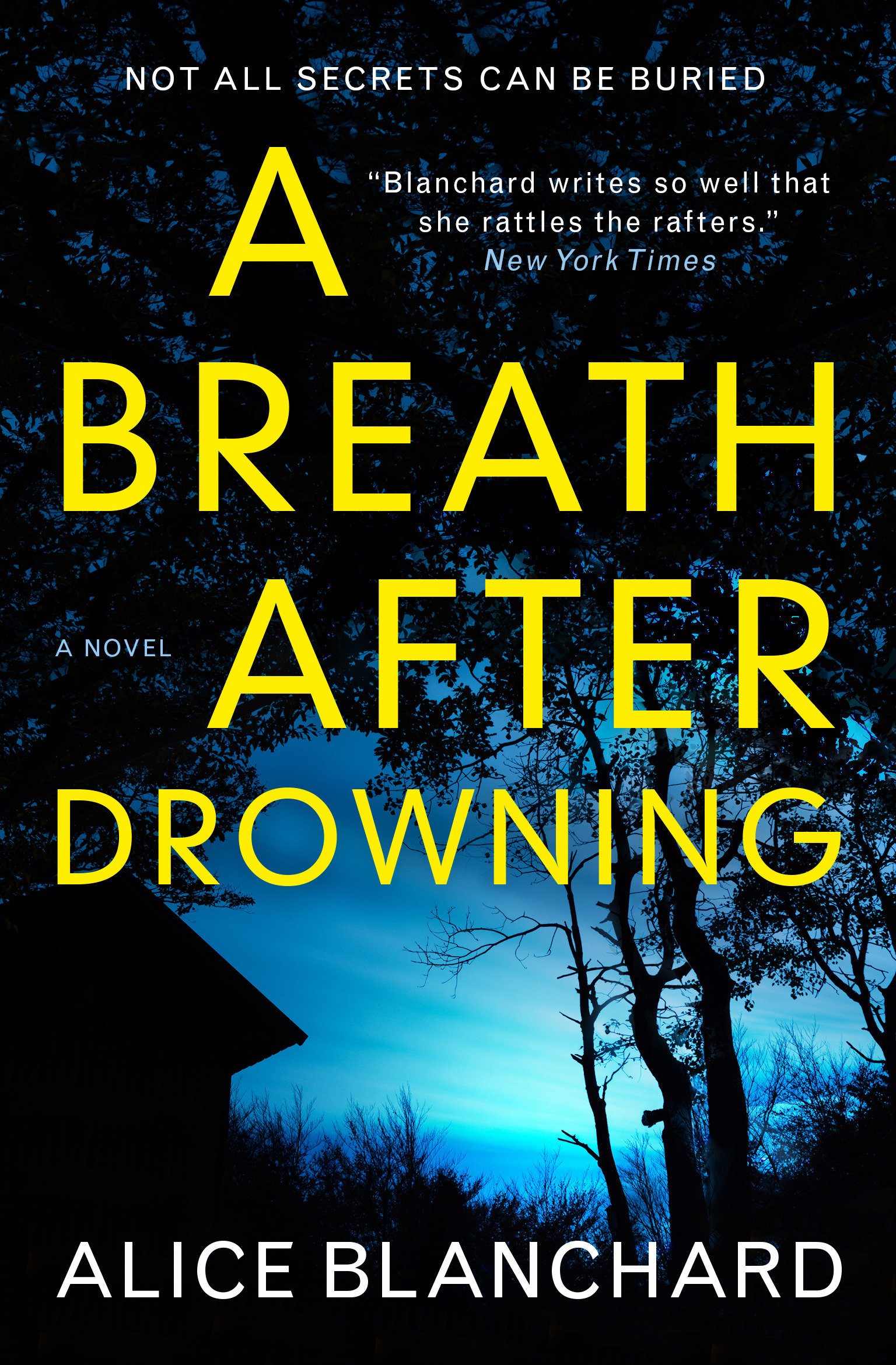Image de couverture de A Breath After Drowning [electronic resource] :