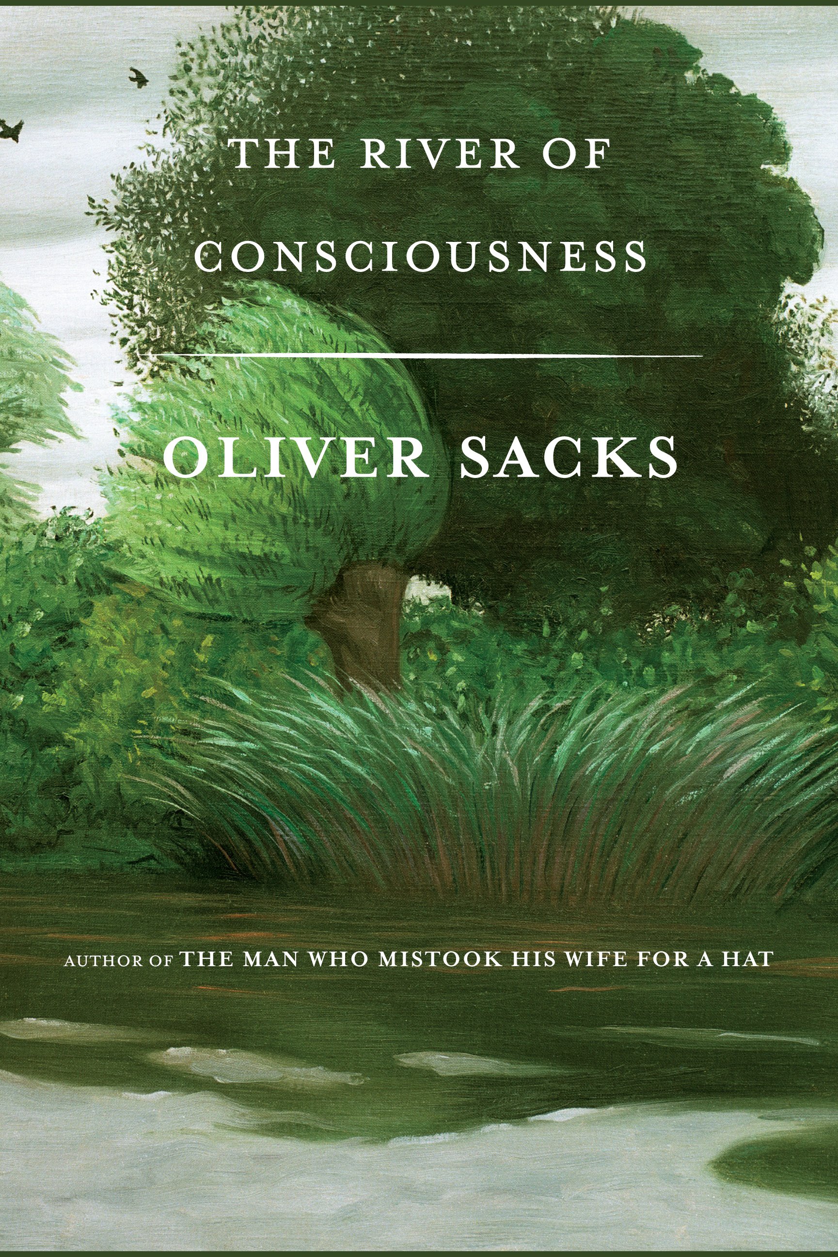 The river of consciousness cover image