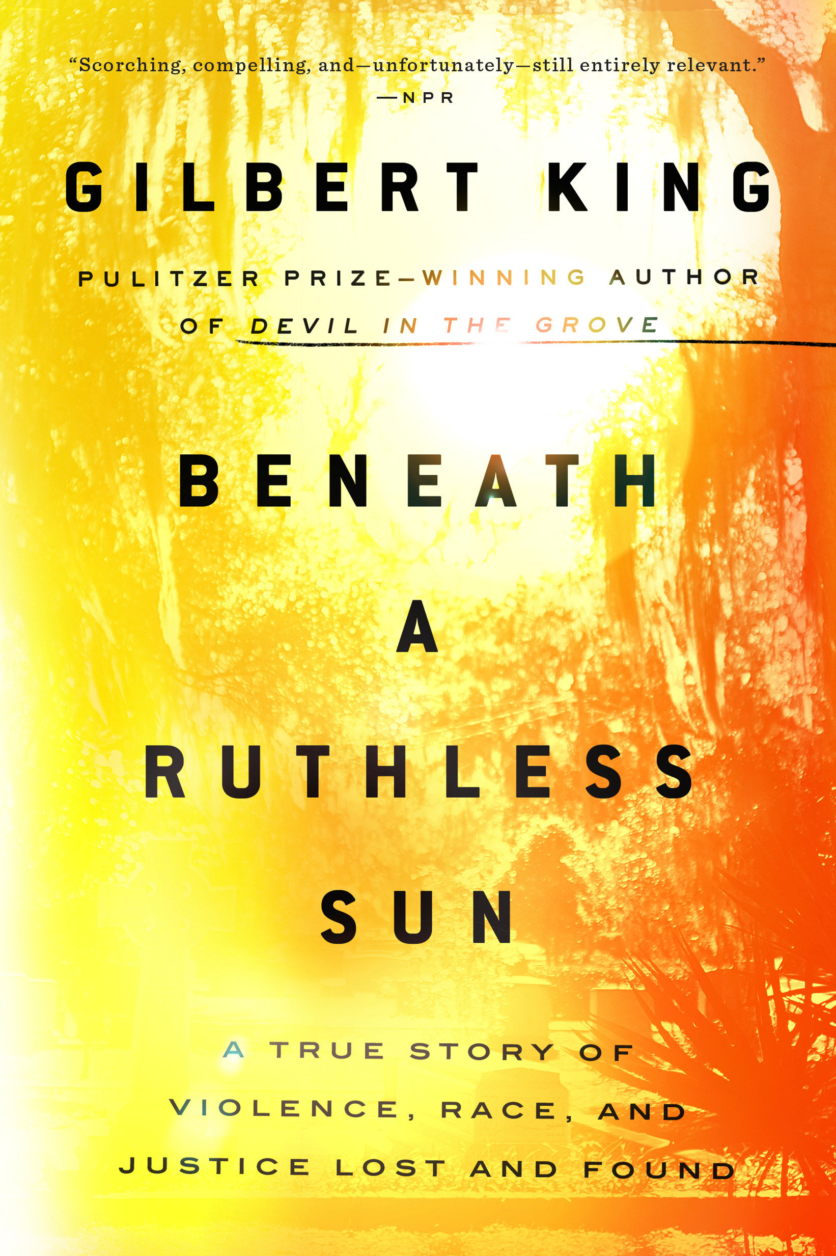 Beneath a ruthless sun a true story of violence, race, and justice lost and found cover image