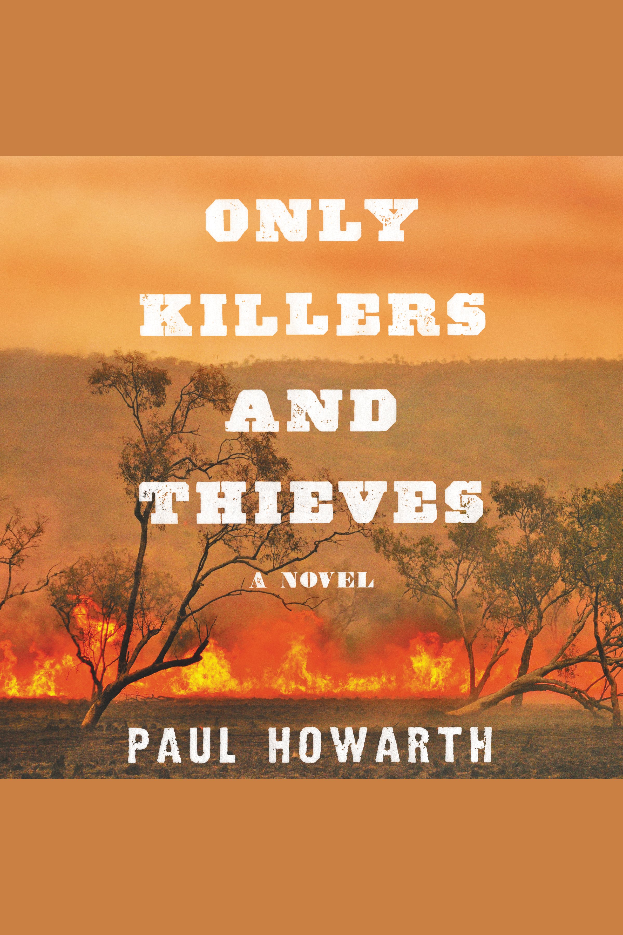 Image de couverture de Only Killers and Thieves [electronic resource] : A Novel