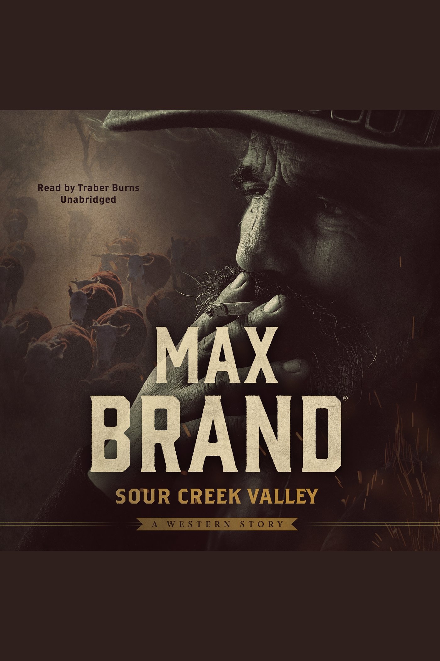 Sour Creek Valley A Western Story cover image