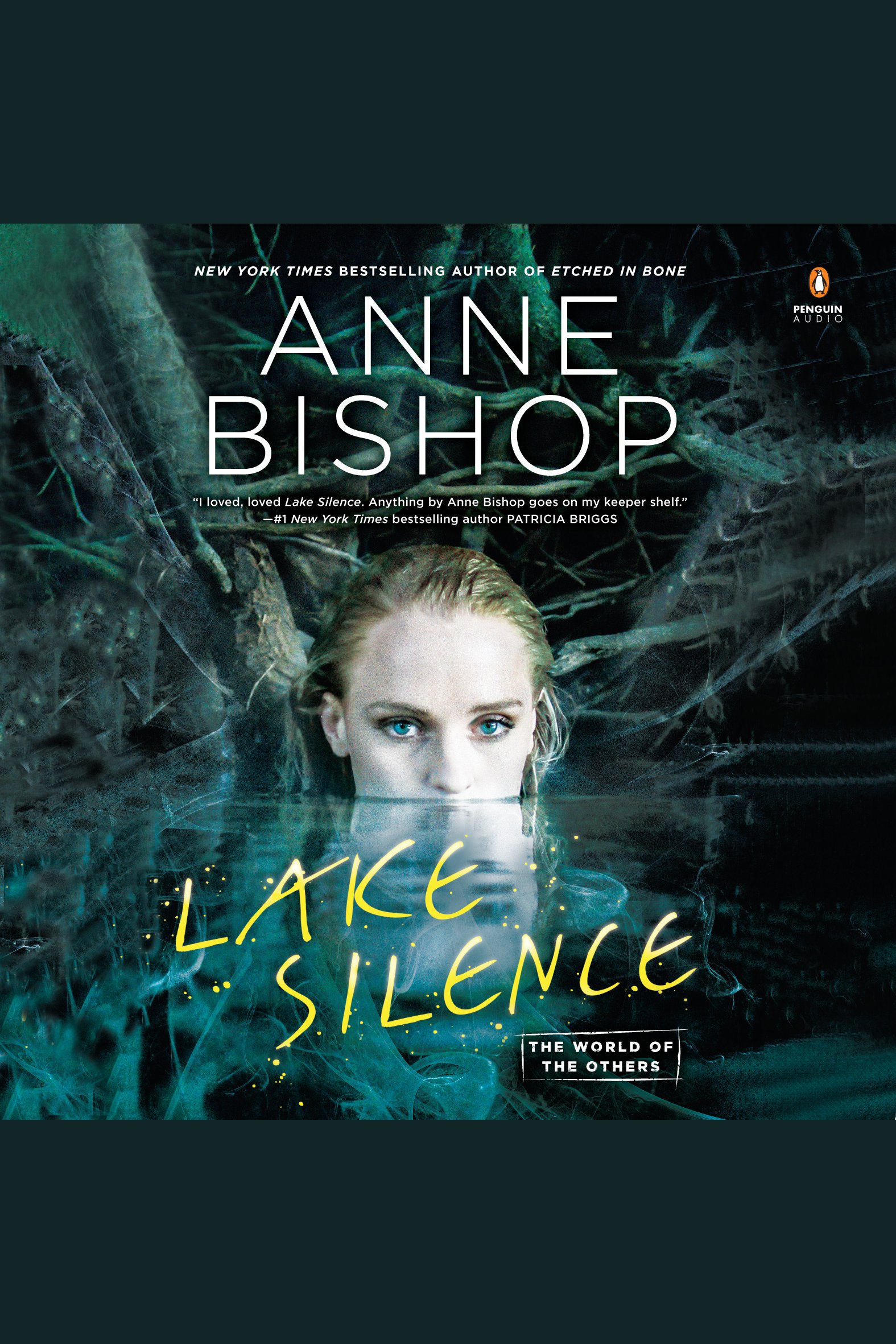Cover image for Lake Silence [electronic resource] :