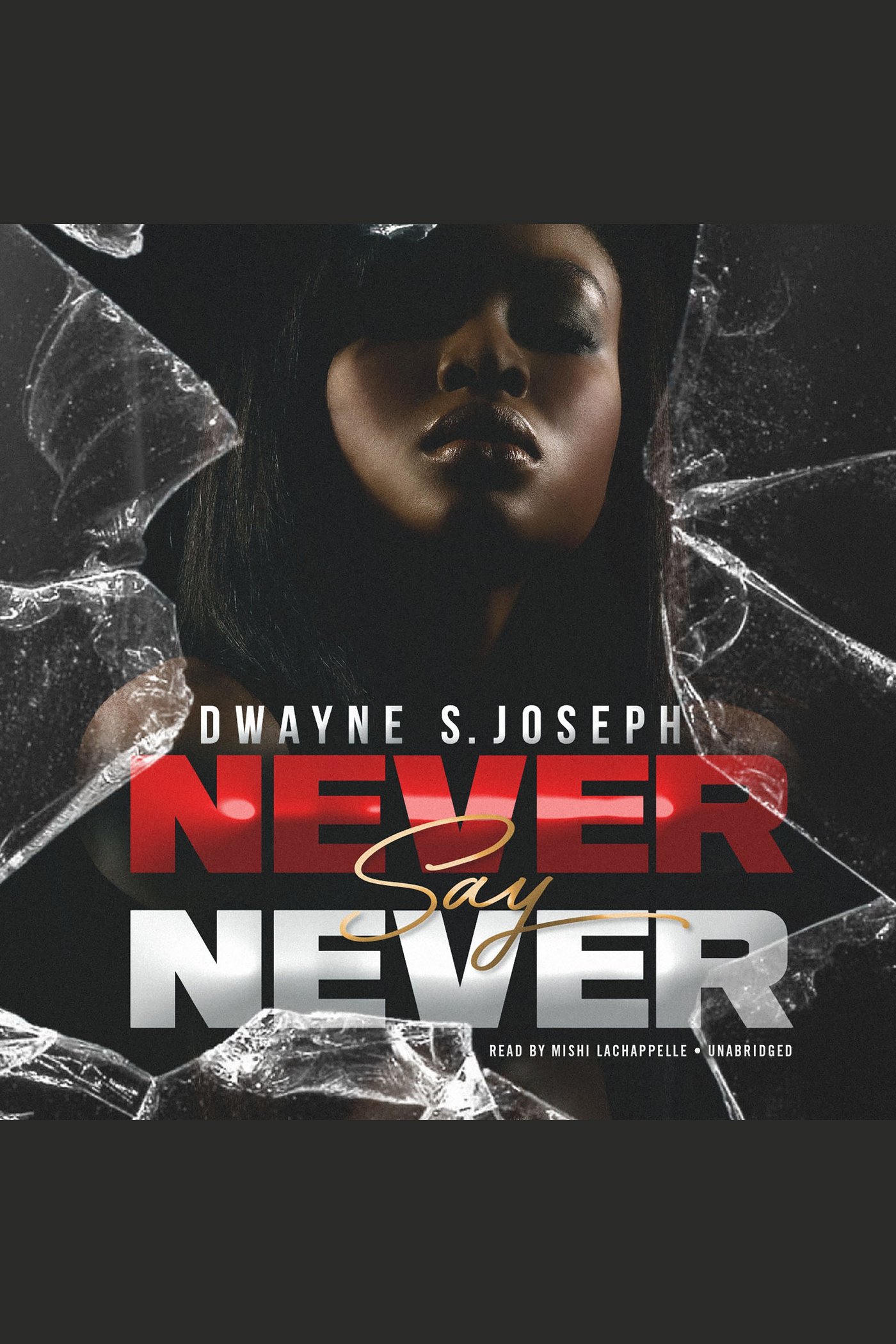 Never Say Never cover image