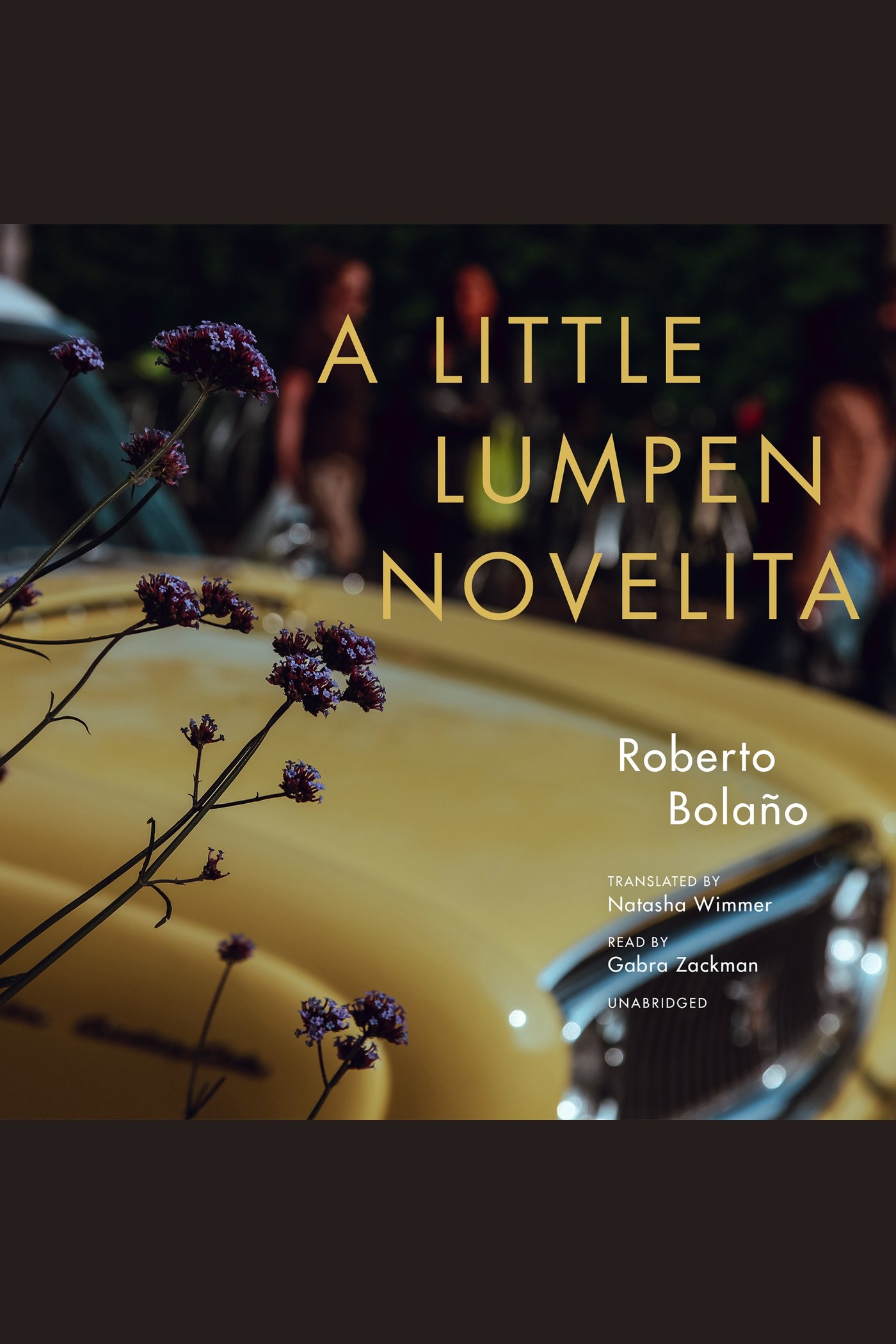 Little Lumpen Novelita, A cover image