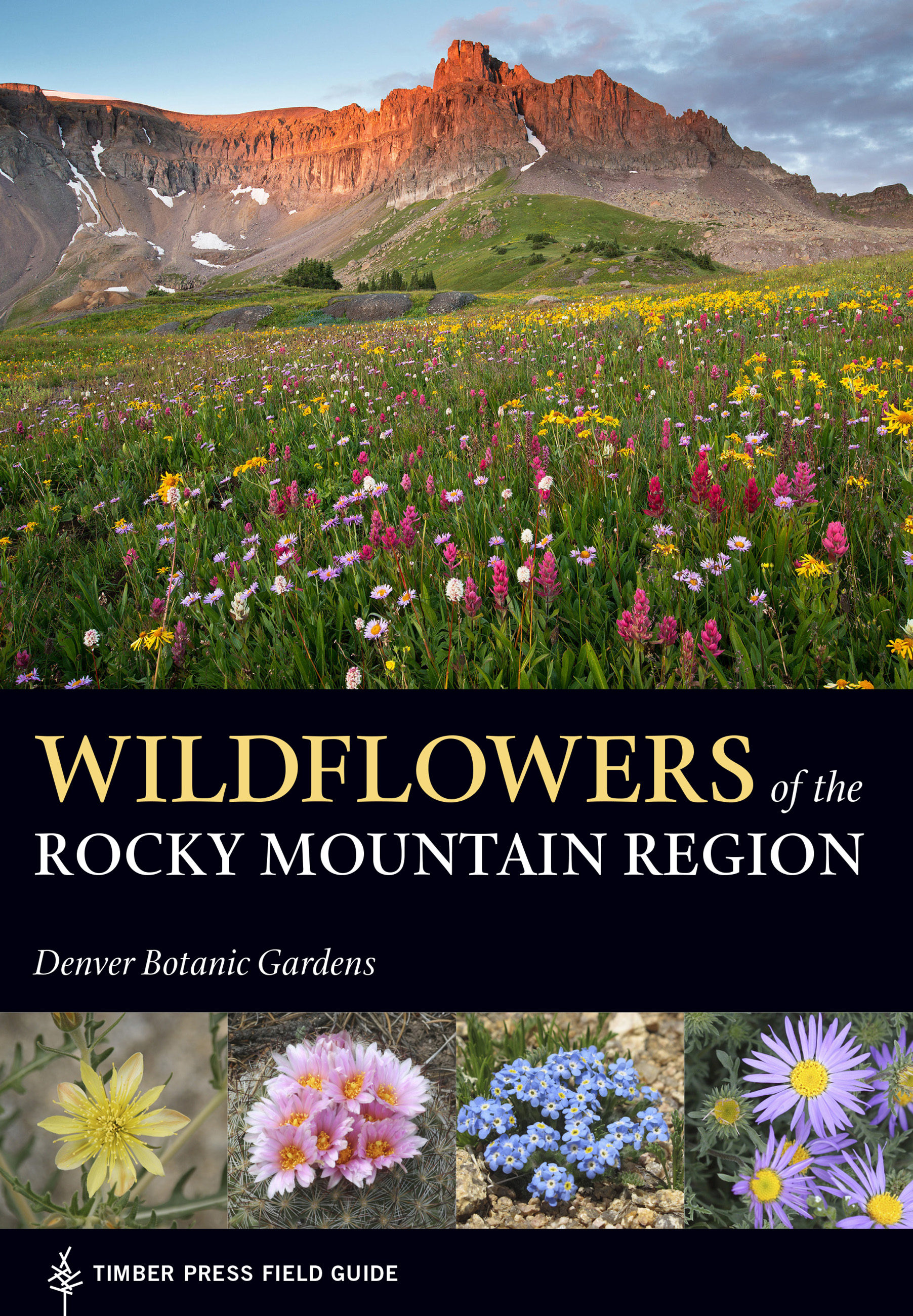 Wildflowers of the Rocky Mountain Region cover image