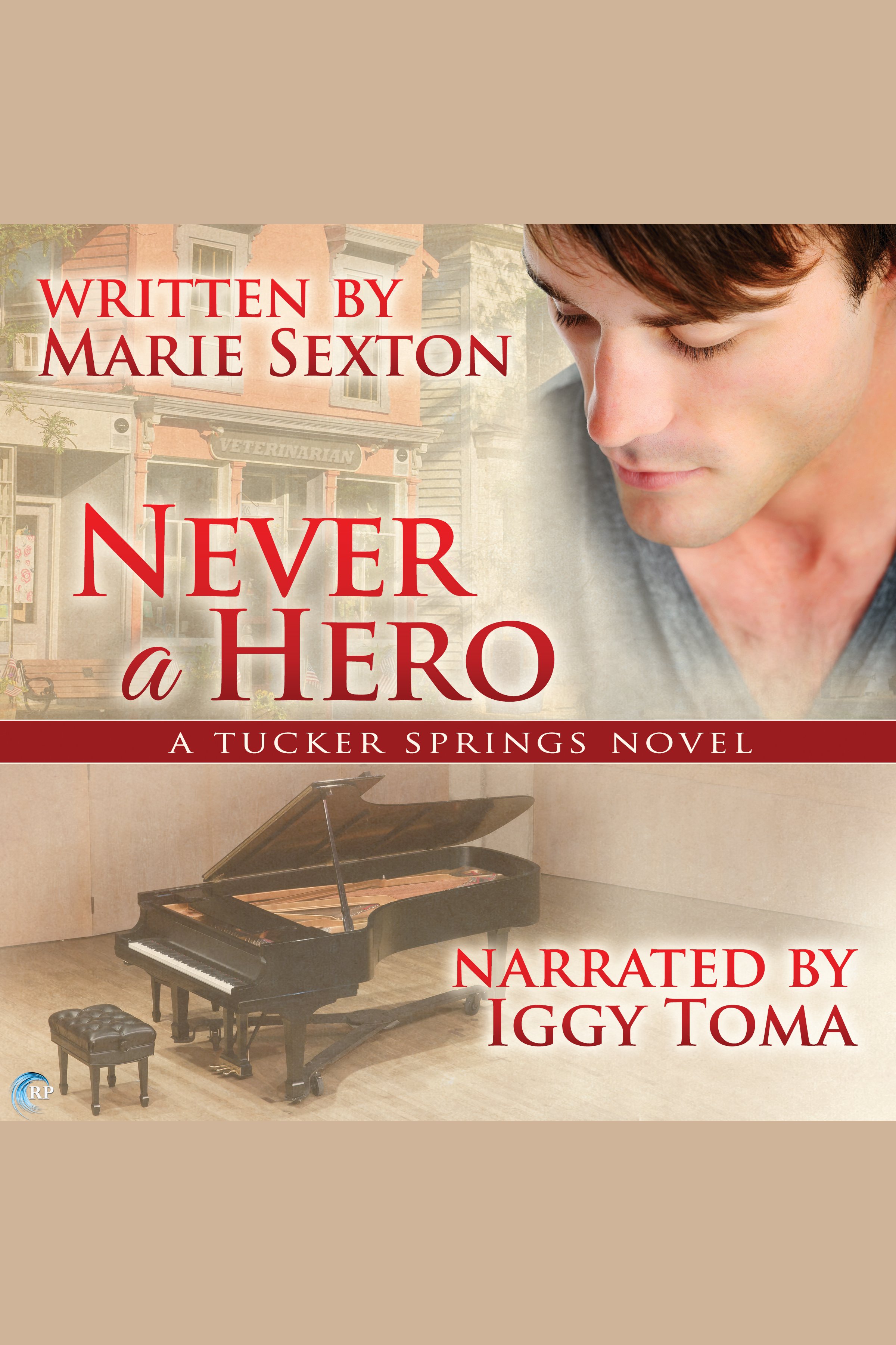 Never a Hero A Tucker Springs Novel cover image