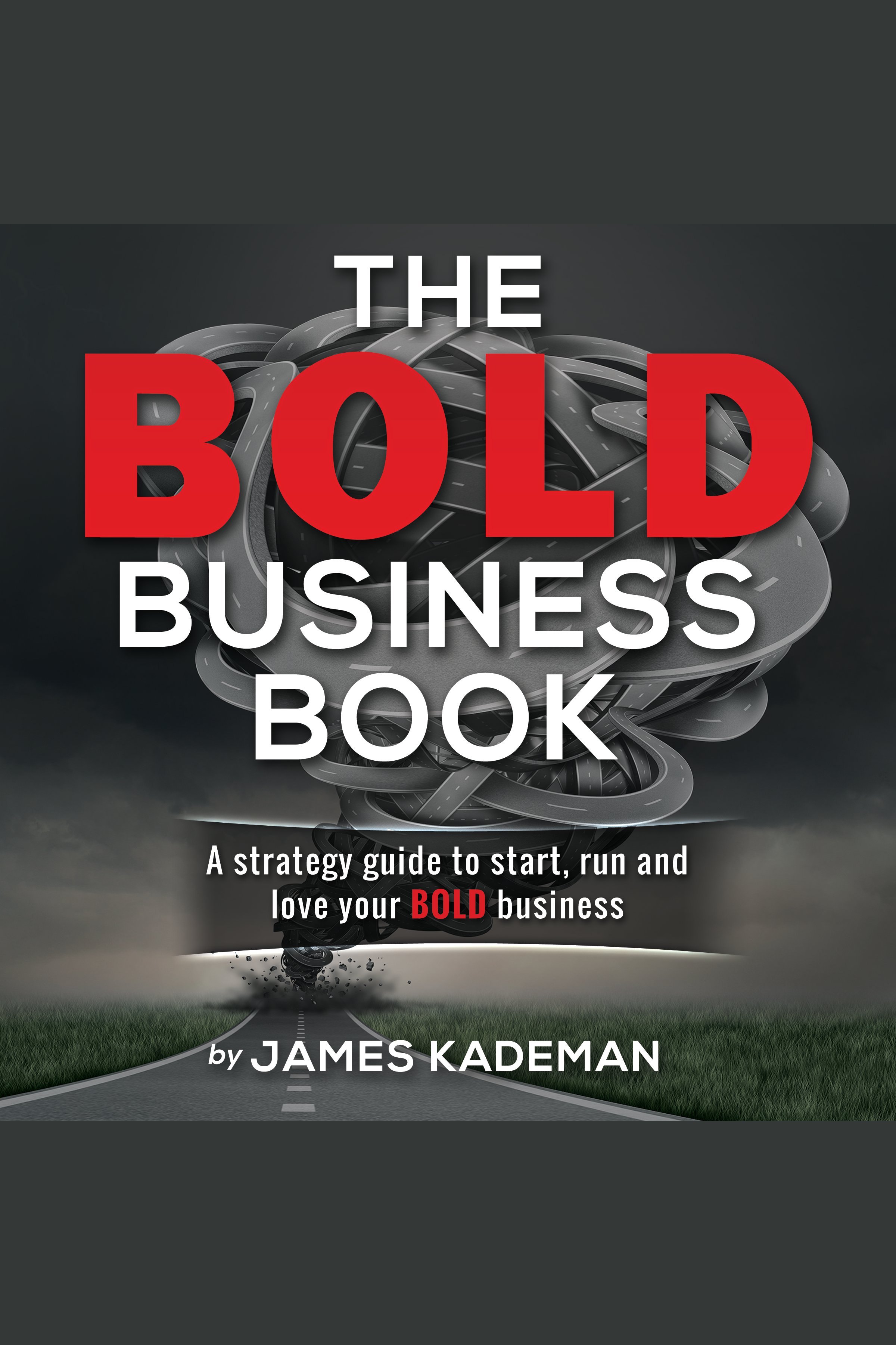 The BOLD Business Book A strategy guide to start, run and love your bold business cover image