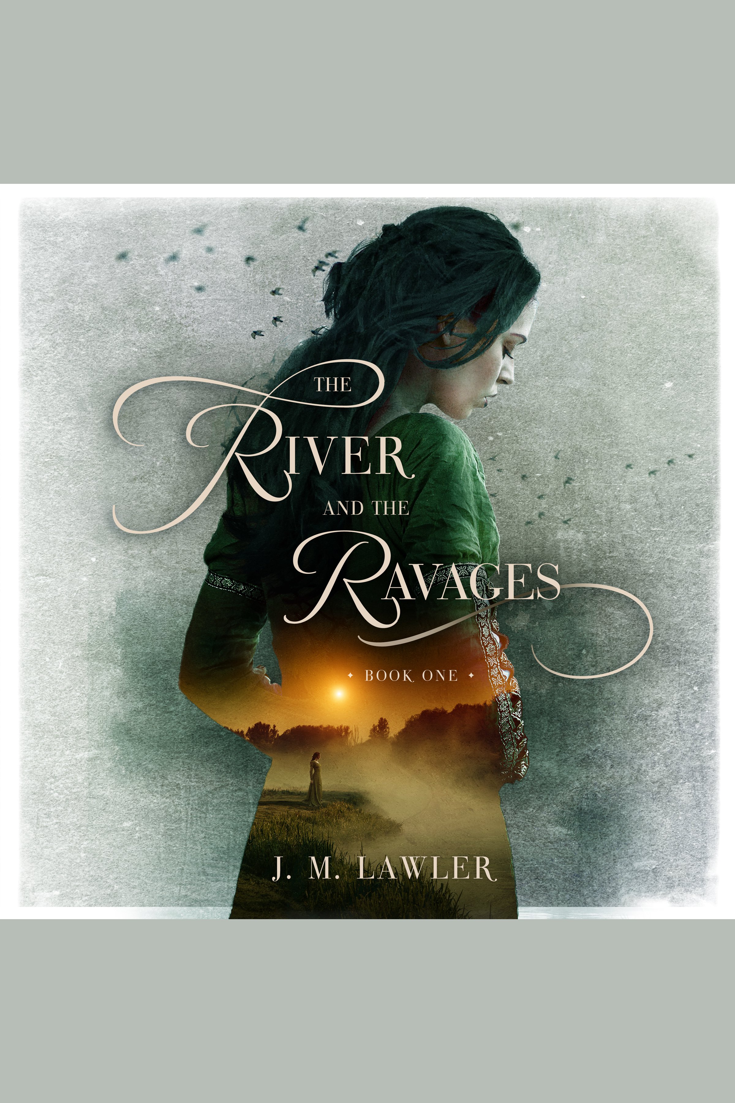 The River and the Ravages cover image