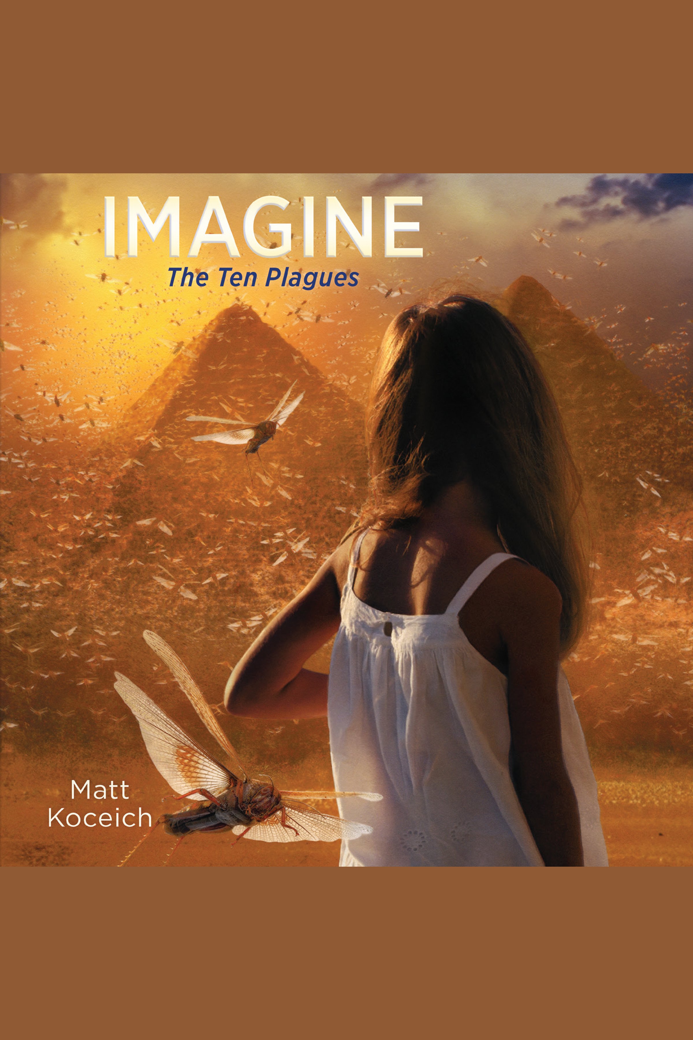 Imagine...The Ten Plagues cover image