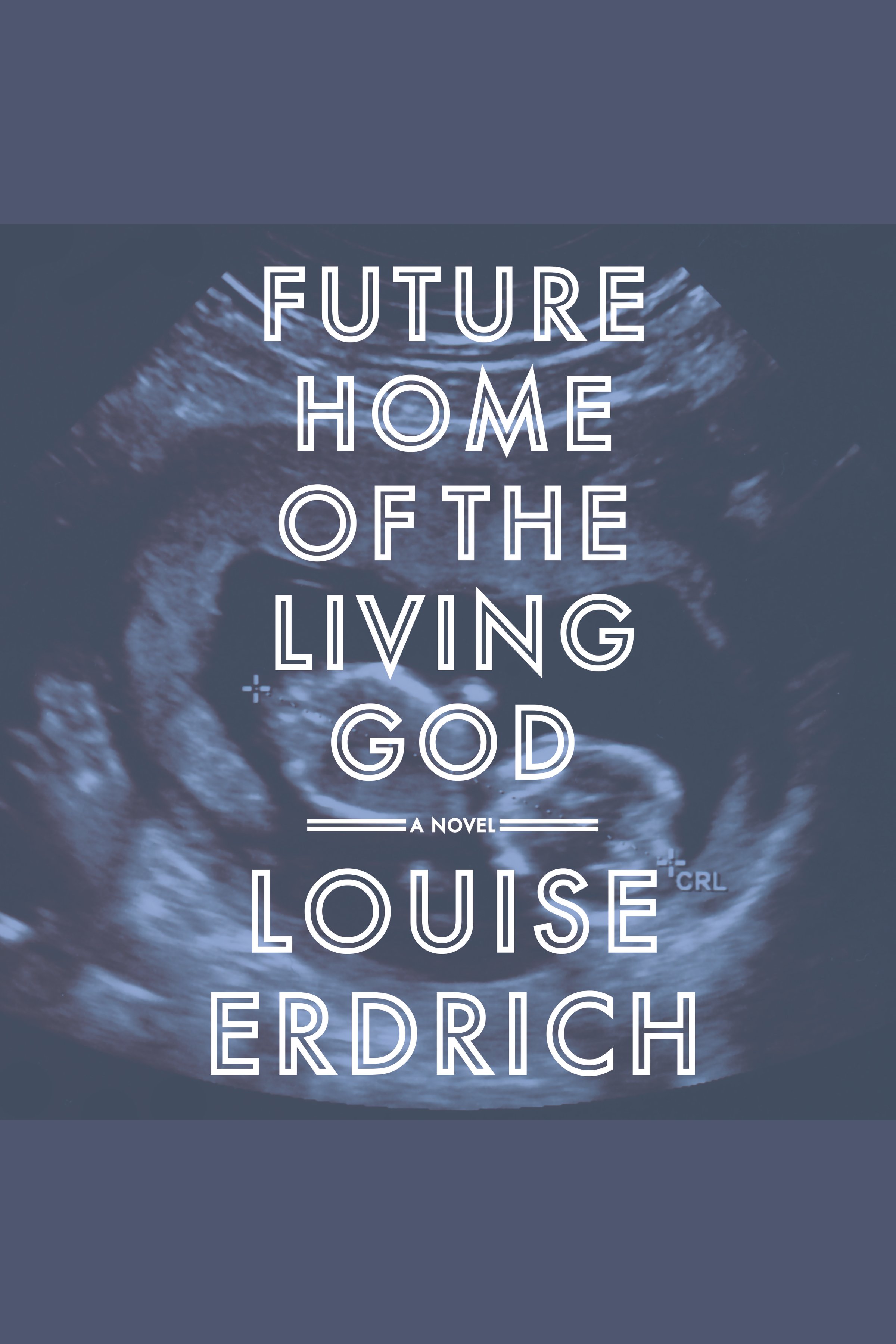 Cover image for Future Home of the Living God [electronic resource] : A Novel