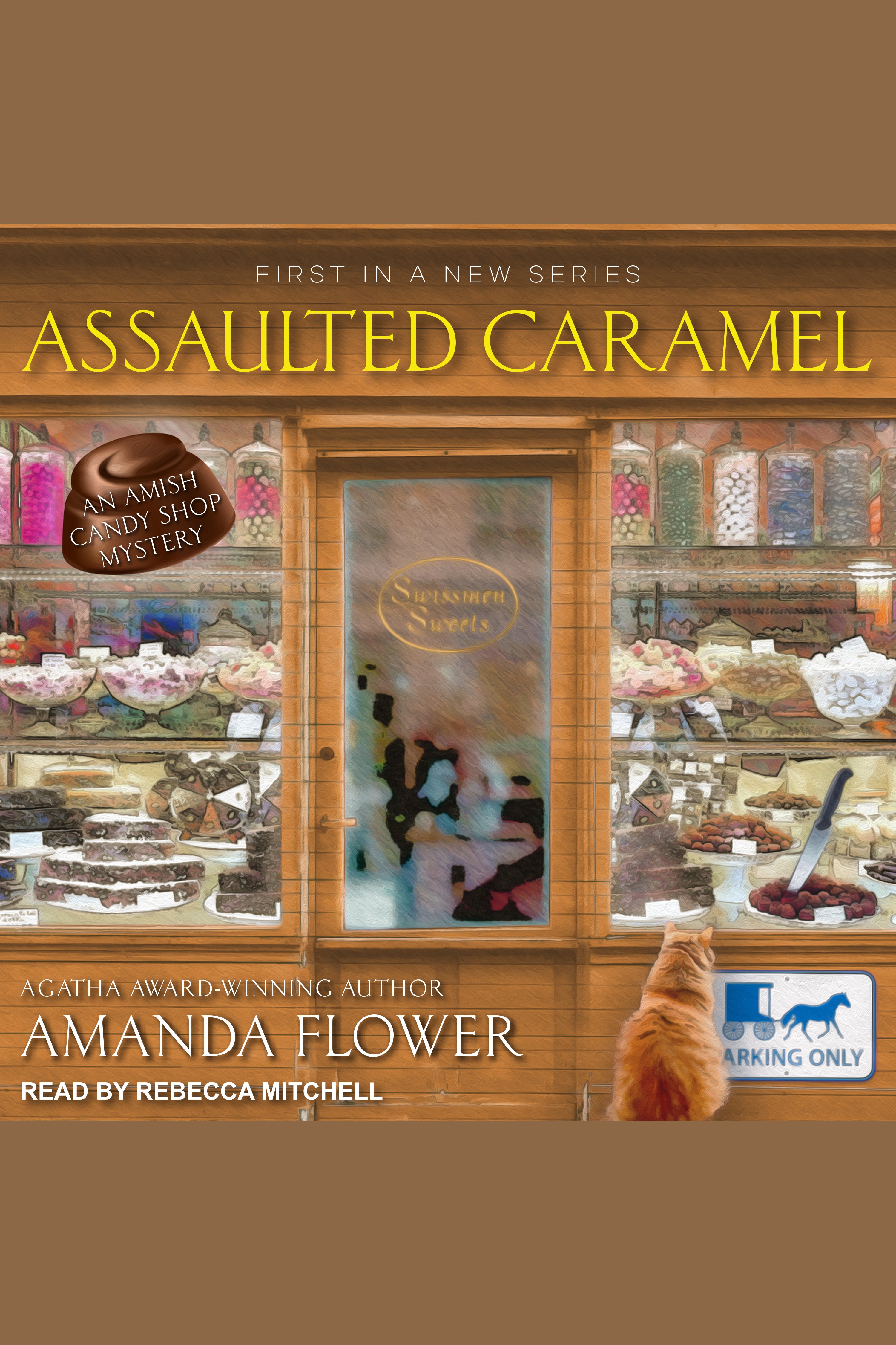 Umschlagbild für Assaulted Caramel [electronic resource] :